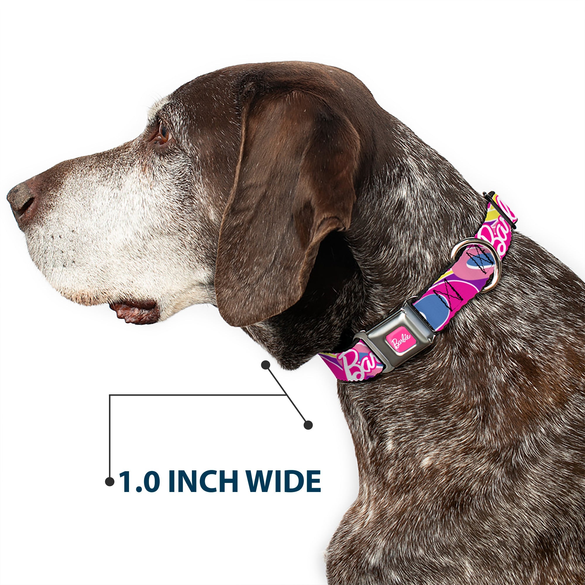 BARBIE Script Signature Full Color Hot Pink/White Seatbelt Buckle Collar - BARBIE Script Signature Logo Abstract Multi Color/White