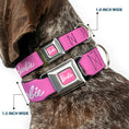 Load image into Gallery viewer, BARBIE Script Signature Full Color Pink/White Seatbelt Buckle Collar - BARBIE Script Signature Logo Pink/White
