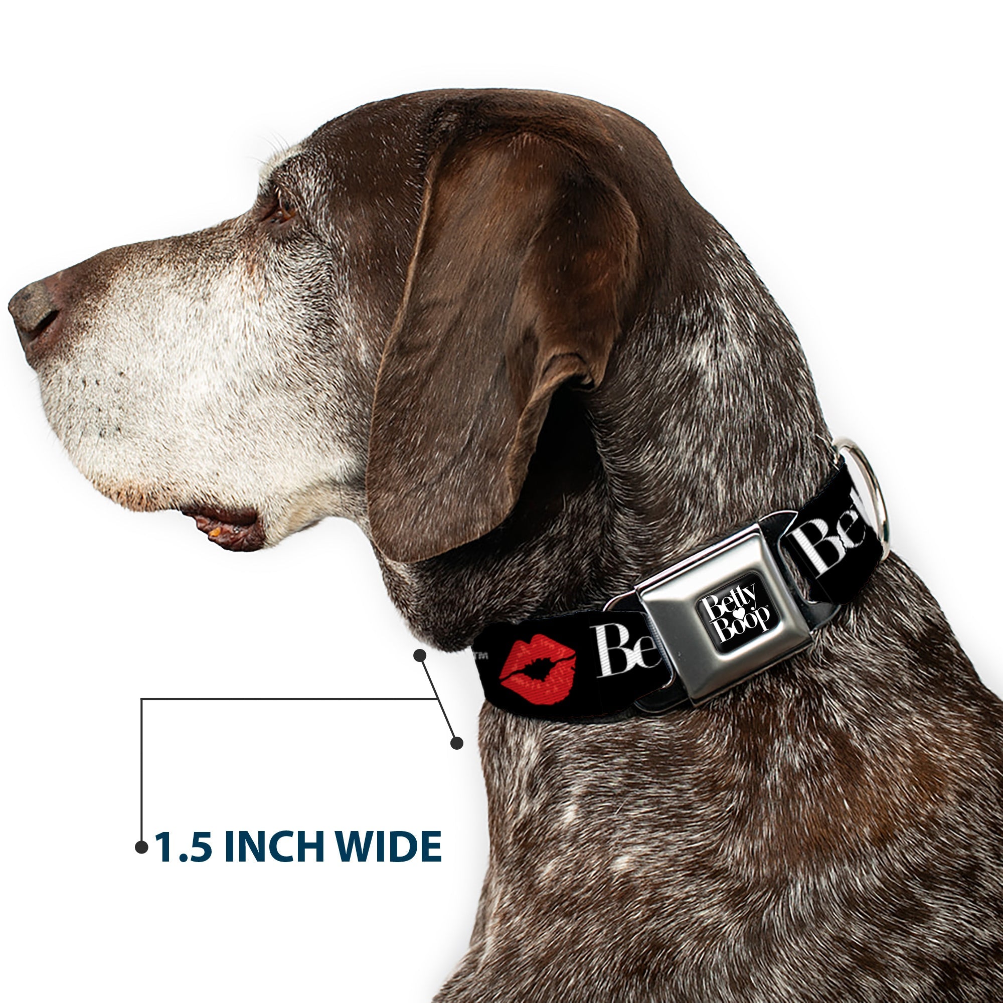 BETTY BOOP Text Heart Logo Full Color Black/White Seatbelt Buckle Collar - BETTY BOOP Text and Kiss Black/White/Red