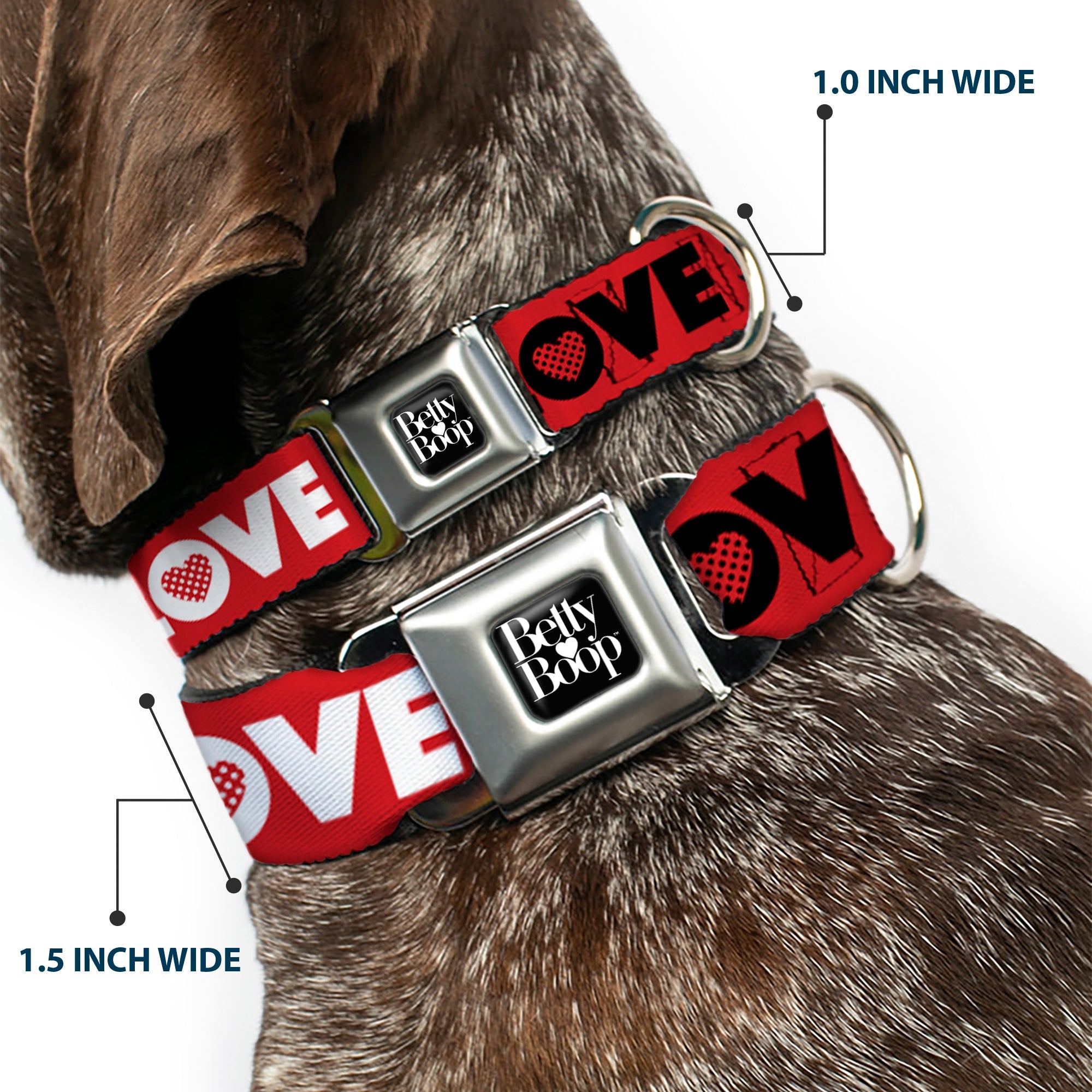 BETTY BOOP Text Heart Logo Full Color Black/White Seatbelt Buckle Collar - Betty Boop Face and LOVE Text Red/Black/White