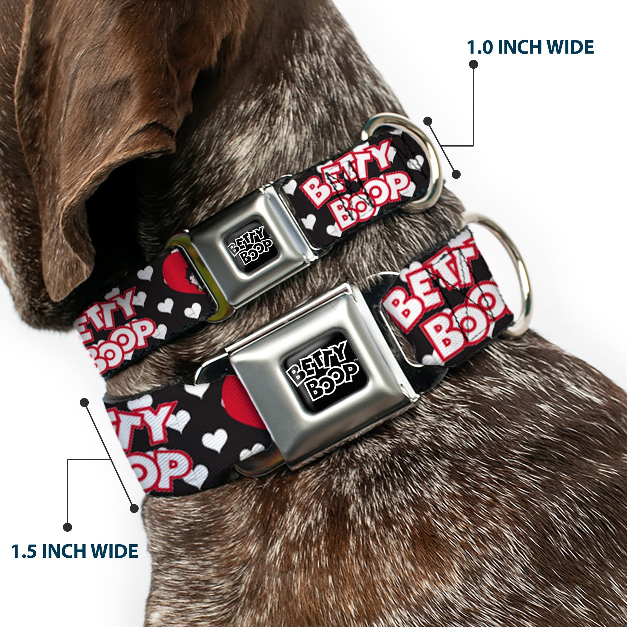 BETTY BOOP Text Heart Logo Full Color Black/White Seatbelt Buckle Collar - BETTY BOOP Face and Text Hearts Black/White/Red