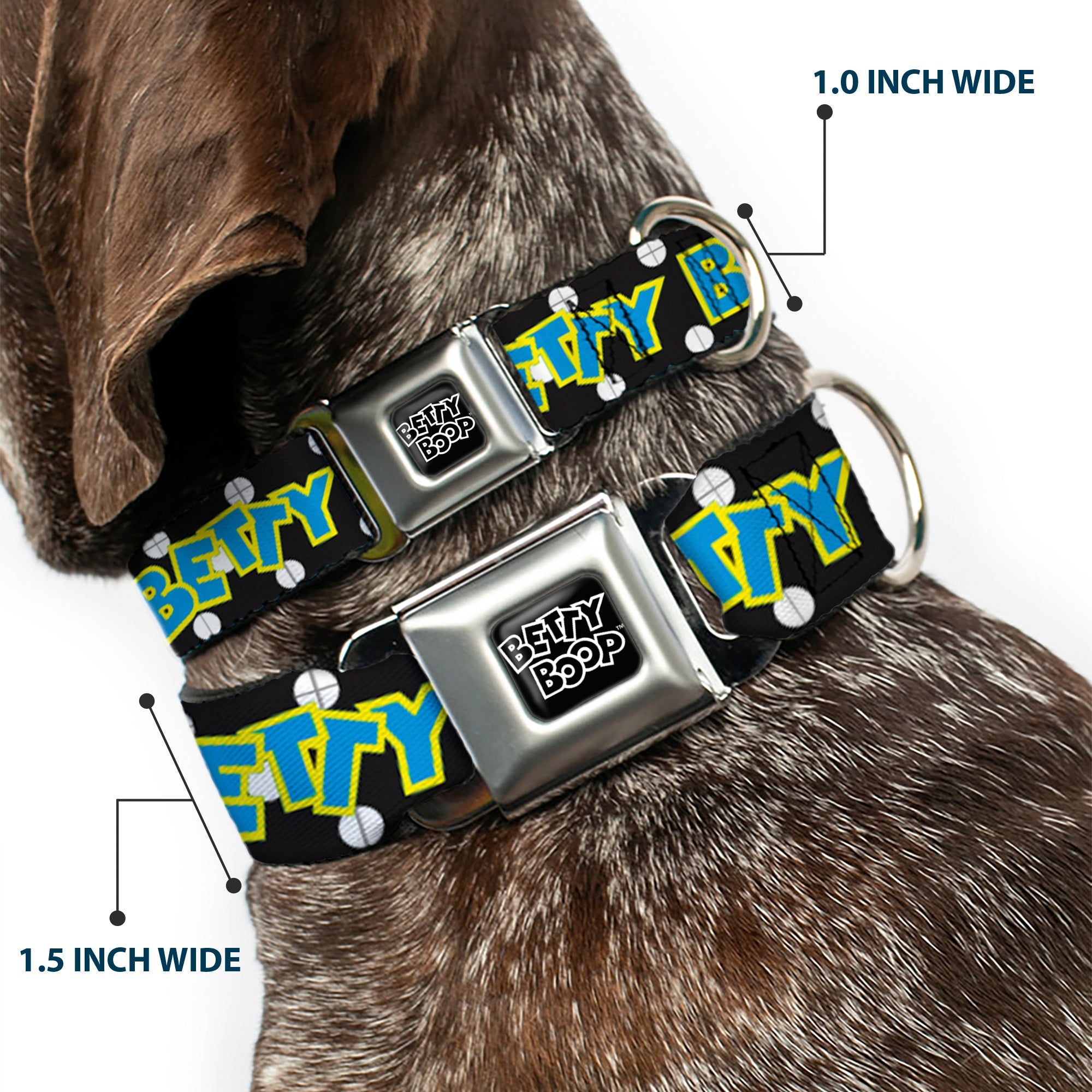 BETTY BOOP Text Heart Logo Full Color Black/White Seatbelt Buckle Collar - BETTY BOOP Biker Betty Winking and Text Polka Dot Black/White/Yellow/Blue