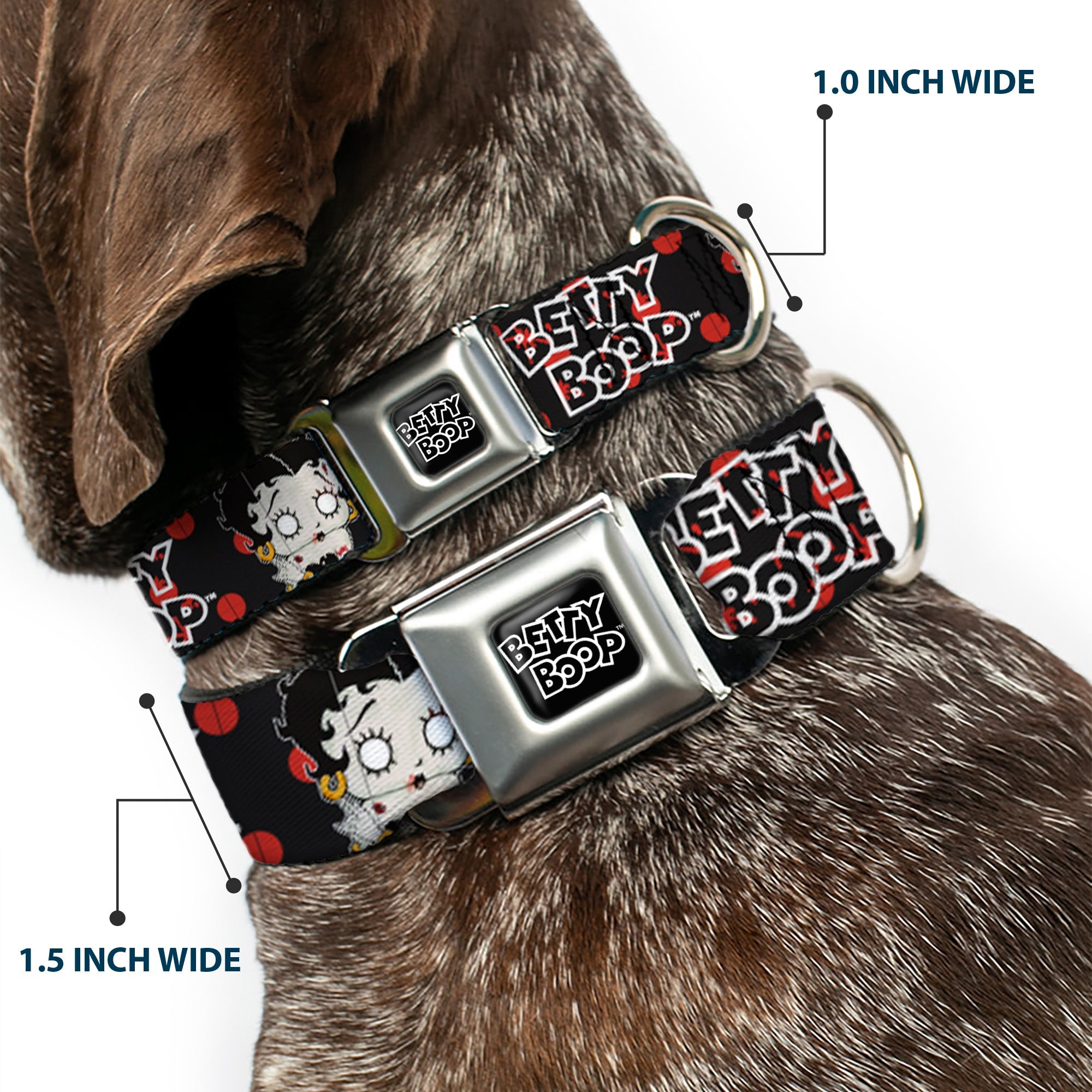 BETTY BOOP Text Heart Logo Full Color Black/White Seatbelt Buckle Collar - BETTY BOOP Zombie Betty and Text Polka Dot Black/Red/White
