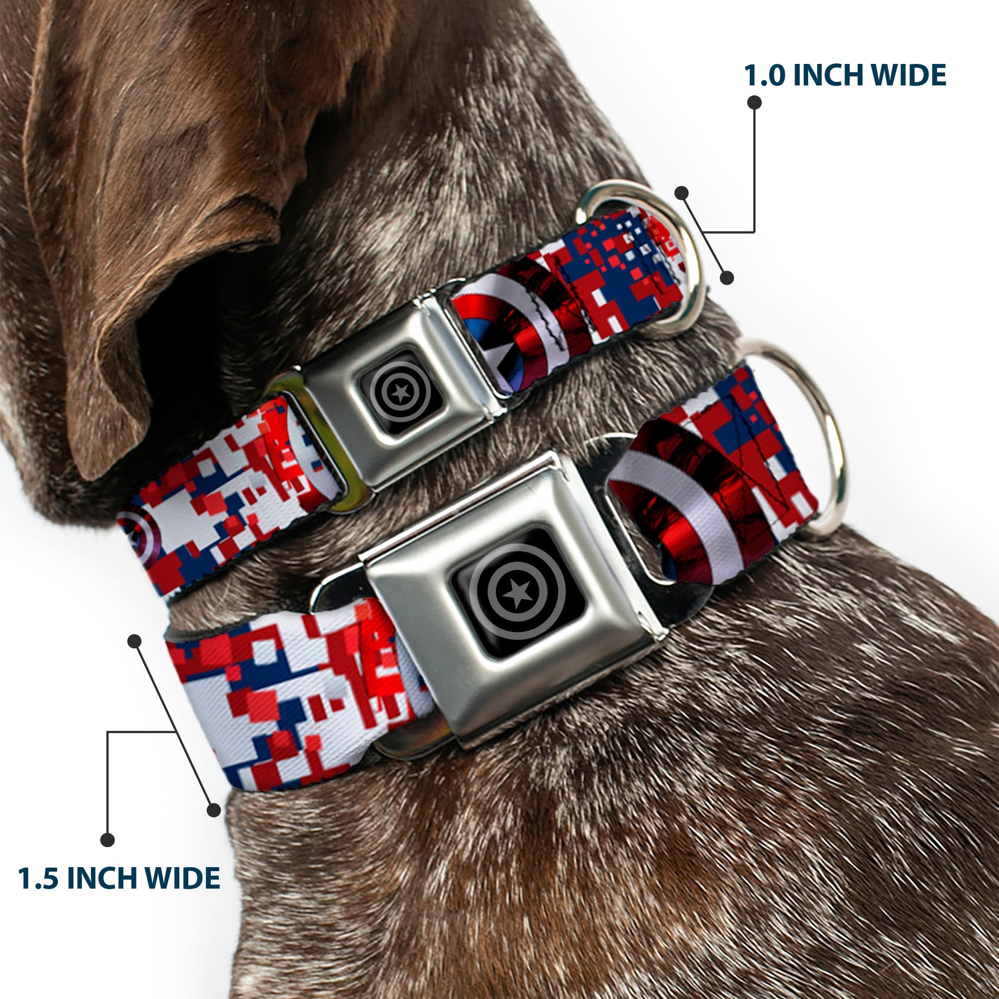 MARVEL AVENGERS Captain America Shield Black Silver Seatbelt Buckle Collar - Captain America Shield Digital Camo Blue/White/Red