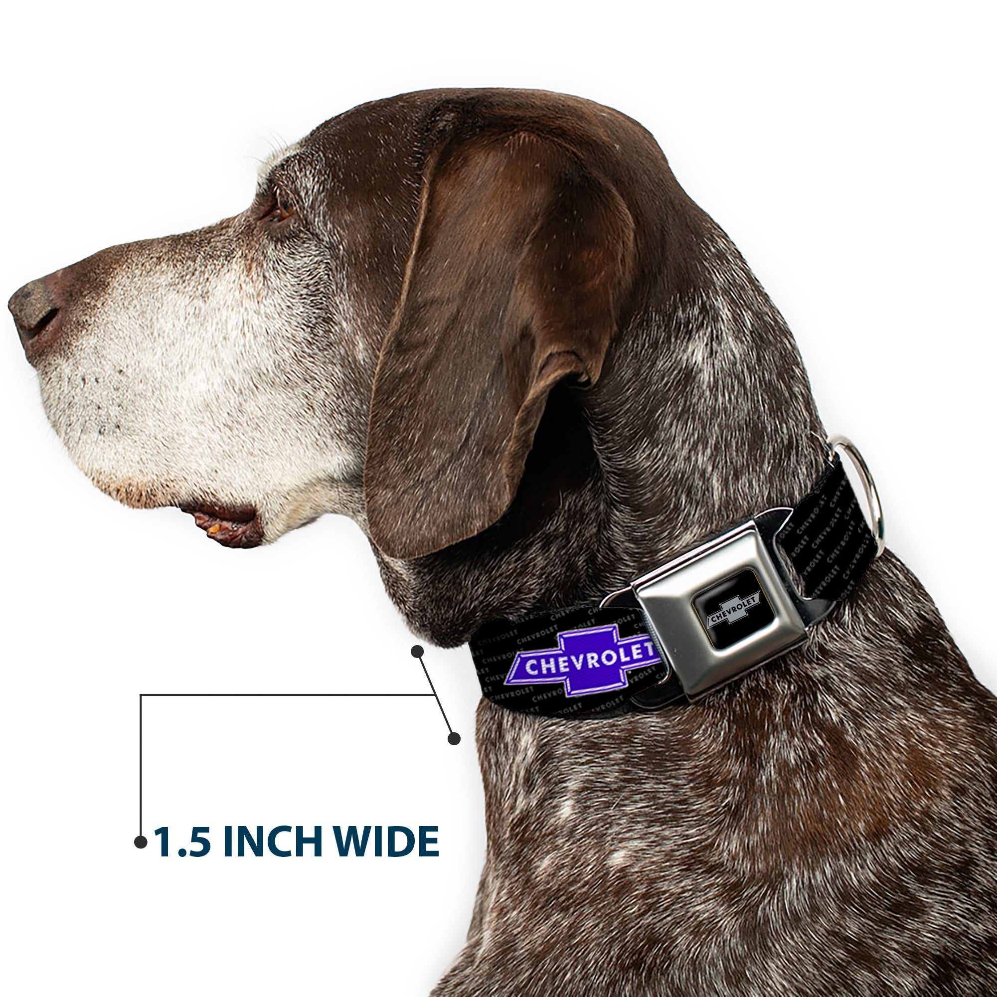 Chevy Bowtie Black Silver Seatbelt Buckle Collar - Chevy Bowtie REPEAT w/Text