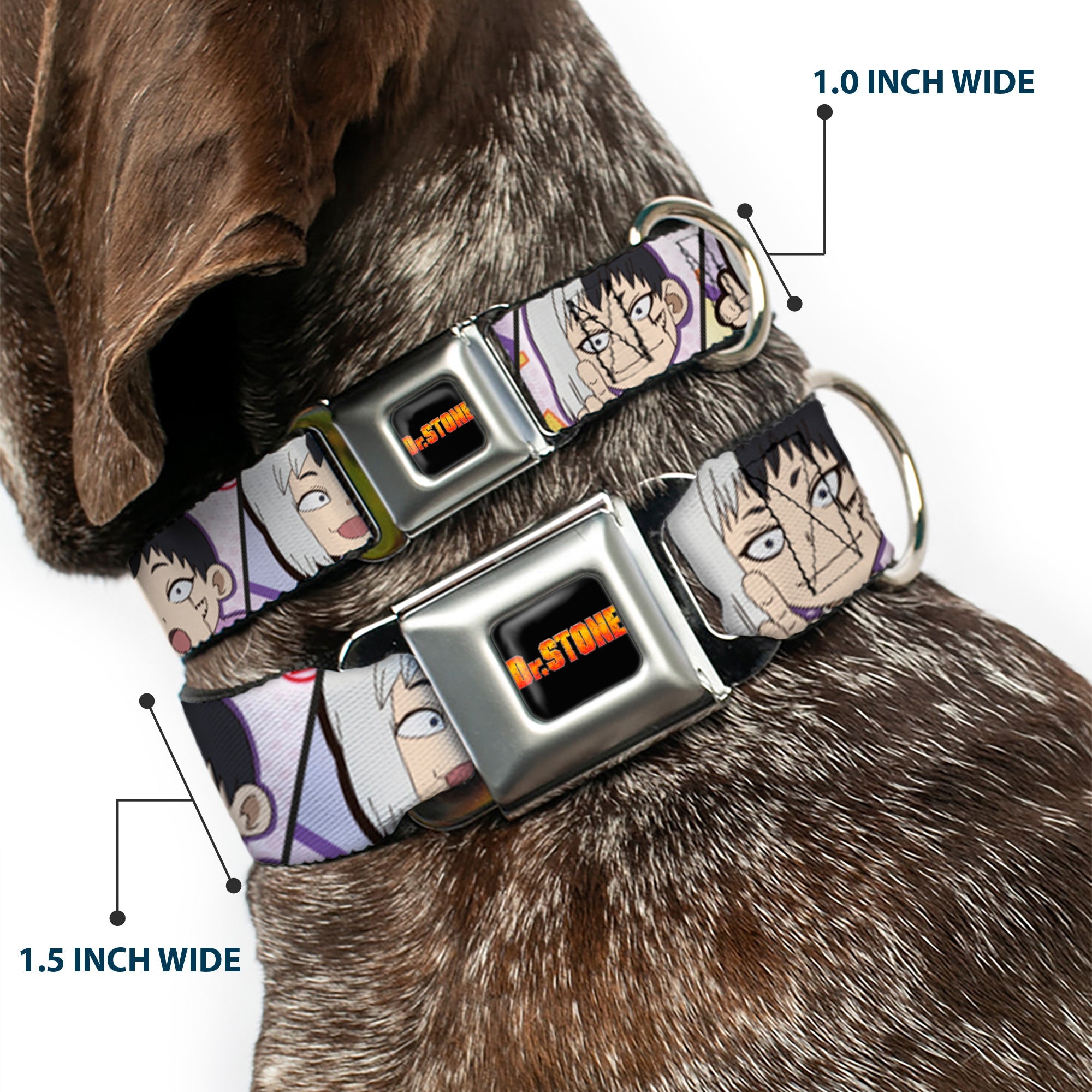 DR. STONE Title Logo Full Color Black/Orange Seatbelt Buckle Collar - Dr. Stone Chibi Gen Asagiri Expression Blocks