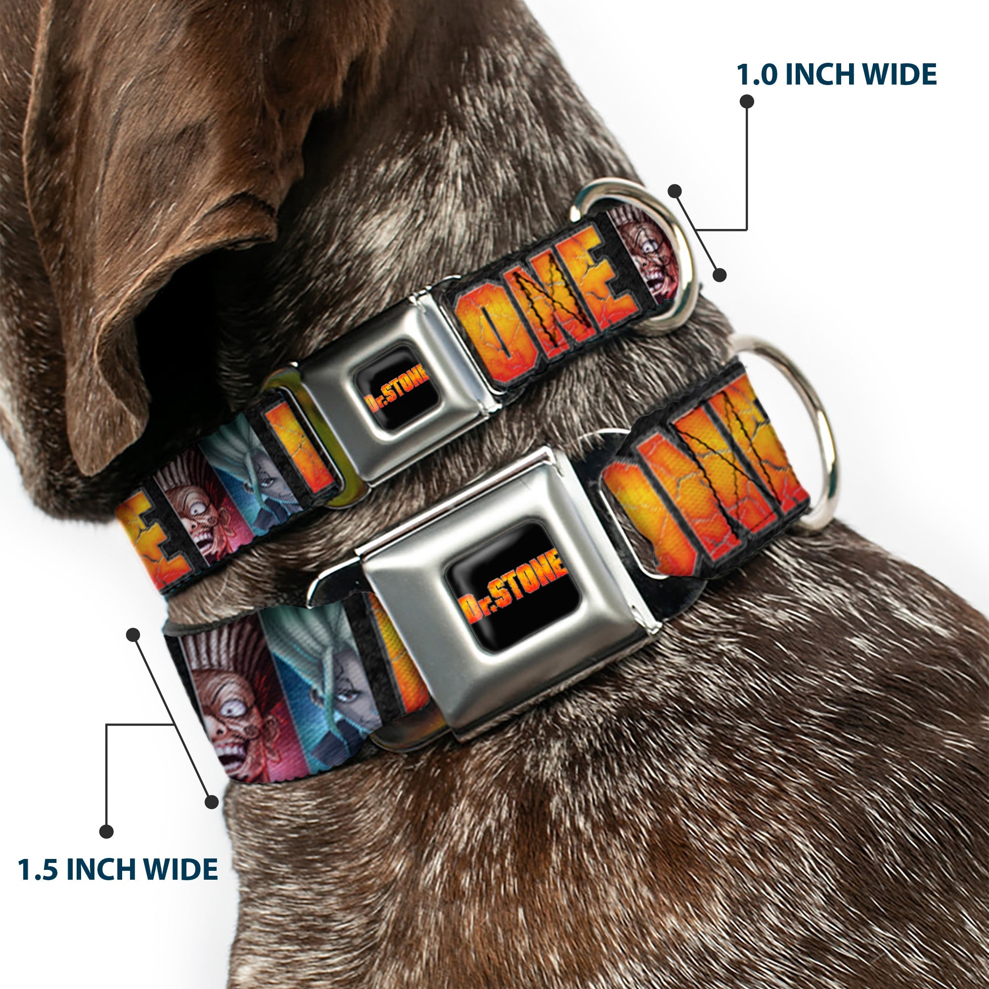 DR. STONE Title Logo Full Color Black/Orange Seatbelt Buckle Collar - DR. STONE Title Logo and Ibarra Senku Split Pose Black