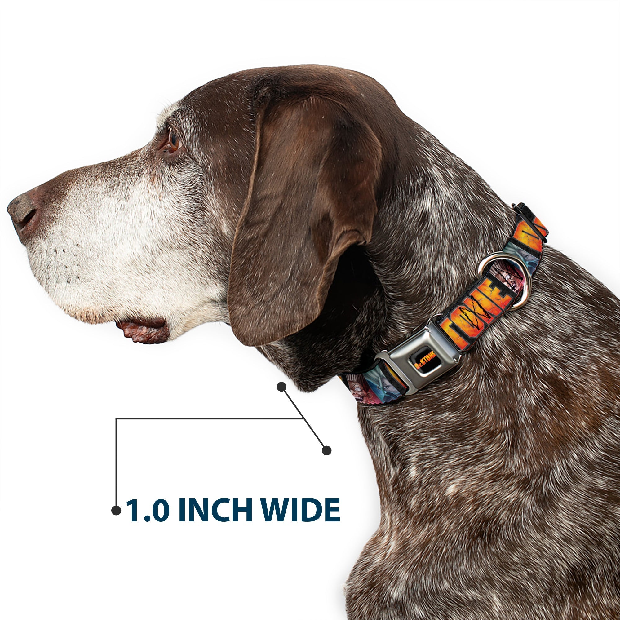 DR. STONE Title Logo Full Color Black/Orange Seatbelt Buckle Collar - DR. STONE Title Logo and Ibarra Senku Split Pose Black