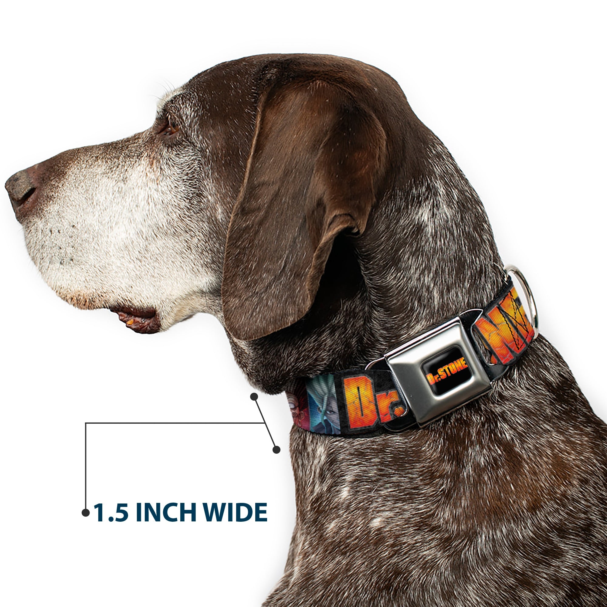 DR. STONE Title Logo Full Color Black/Orange Seatbelt Buckle Collar - DR. STONE Title Logo and Ibarra Senku Split Pose Black
