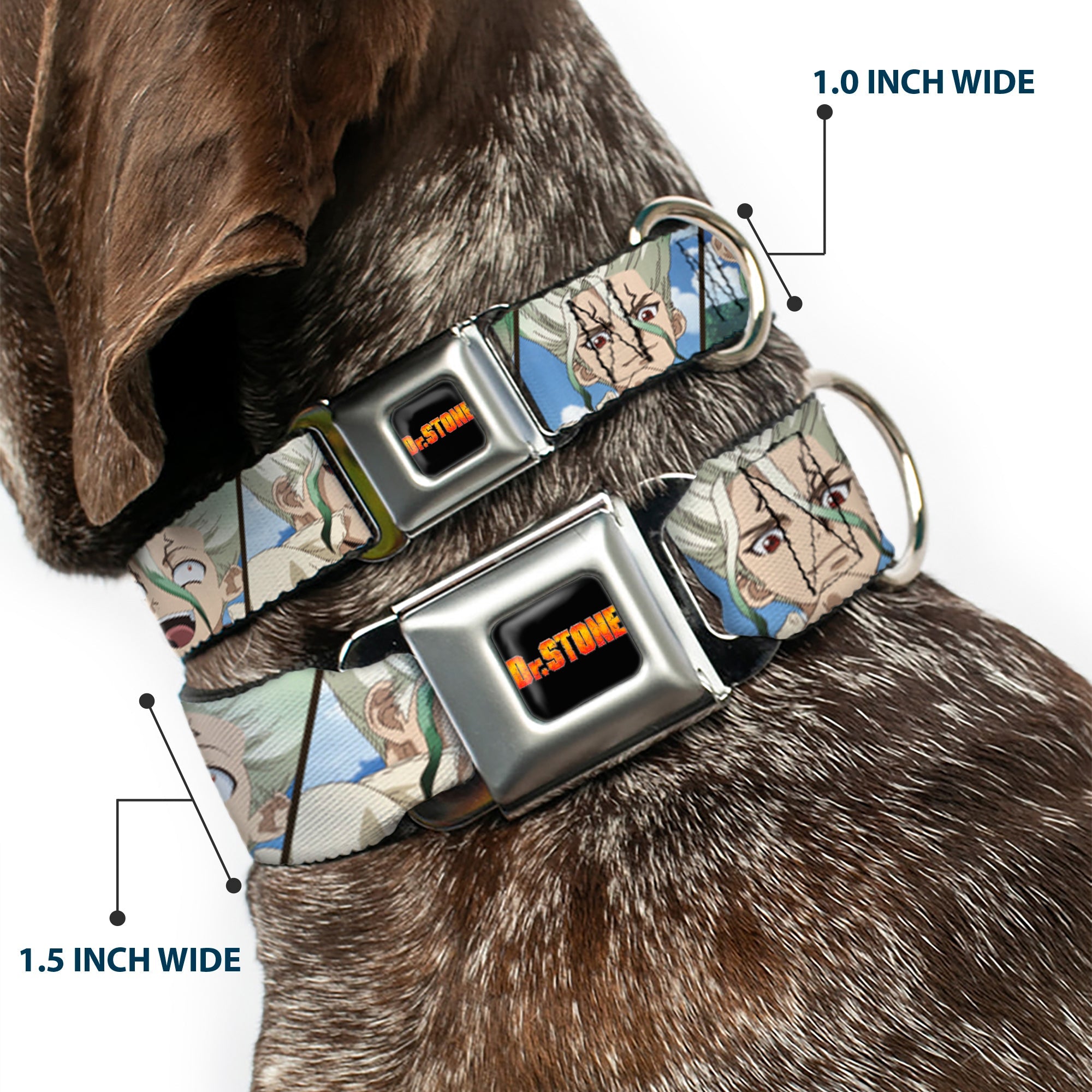 DR. STONE Title Logo Full Color Black/Orange Seatbelt Buckle Collar - Dr. Stone Senku Ishigami Expression Blocks Blues