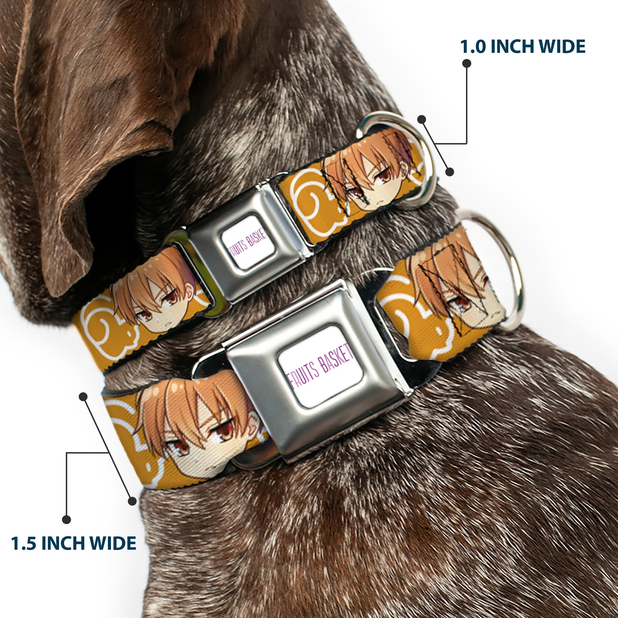 FRUITS BASKET Title Logo Full Color White/Purple Seatbelt Buckle Collar - Fruits Basket Chibi Kyo Soma Face and Kimono Cat Icon Orange/White