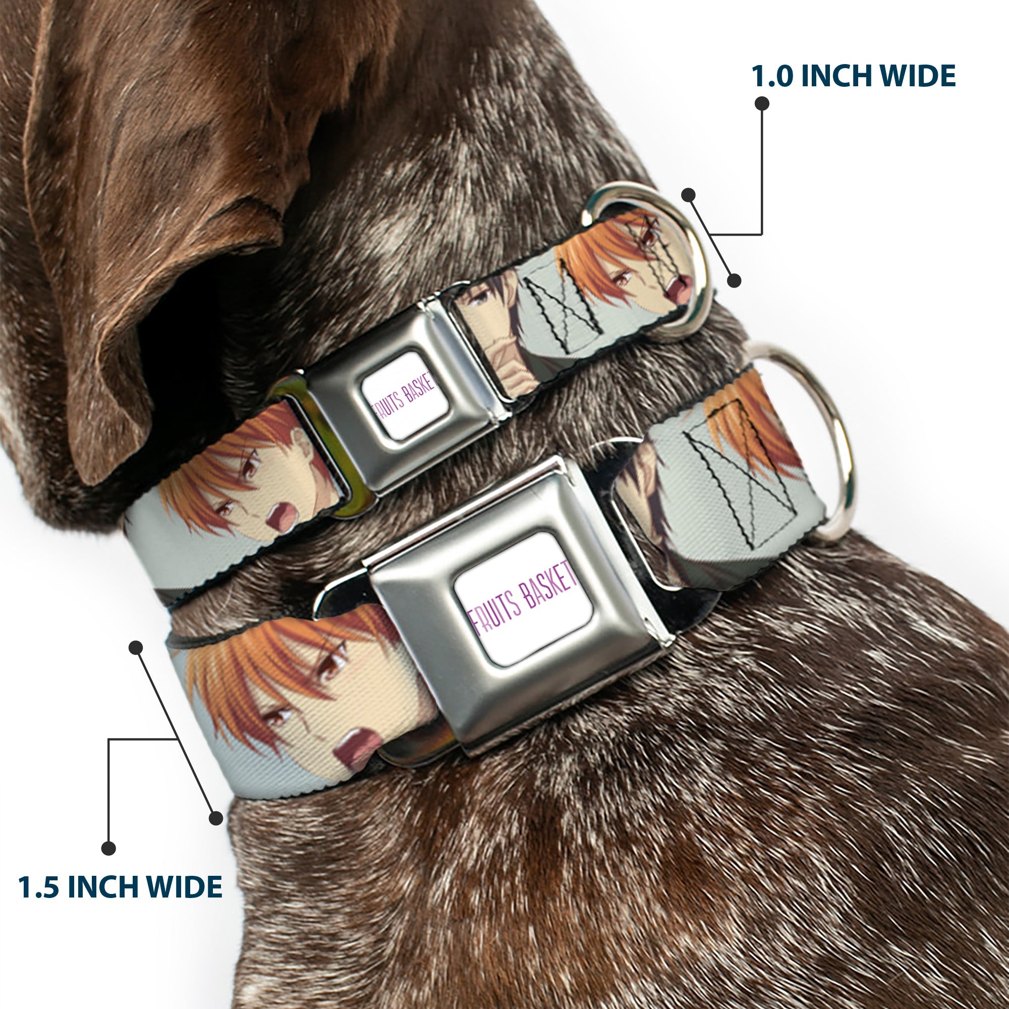 FRUITS BASKET Title Logo Full Color White/Purple Seatbelt Buckle Collar - Fruits Basket Kyo Yuki Shigure Group Faces Mint Green