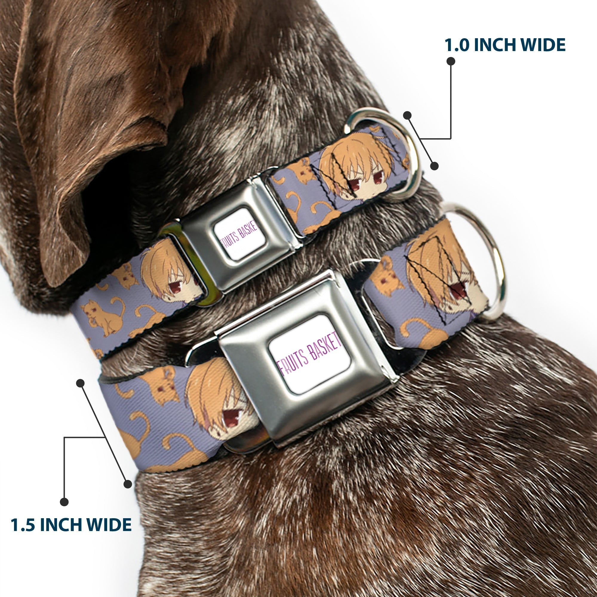 FRUITS BASKET Title Logo Full Color White/Purple Seatbelt Buckle Collar - Fruits Basket Chibi Kyo Soma and Cat Scattered Blue/Orange