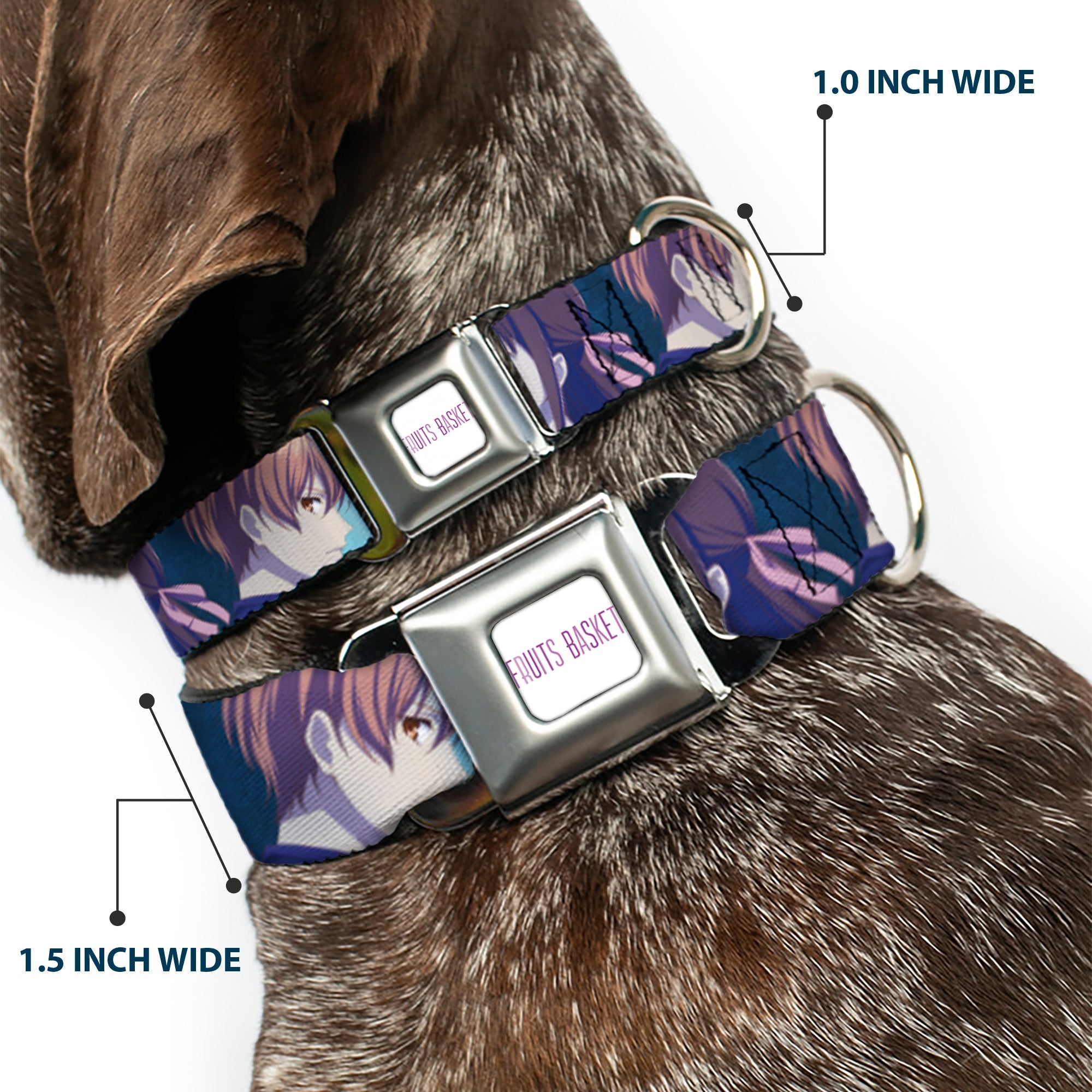 FRUITS BASKET Title Logo Full Color White/Purple Seatbelt Buckle Collar - Fruits Basket Yuki Tohru Kyo Final Season Group Pose Blues