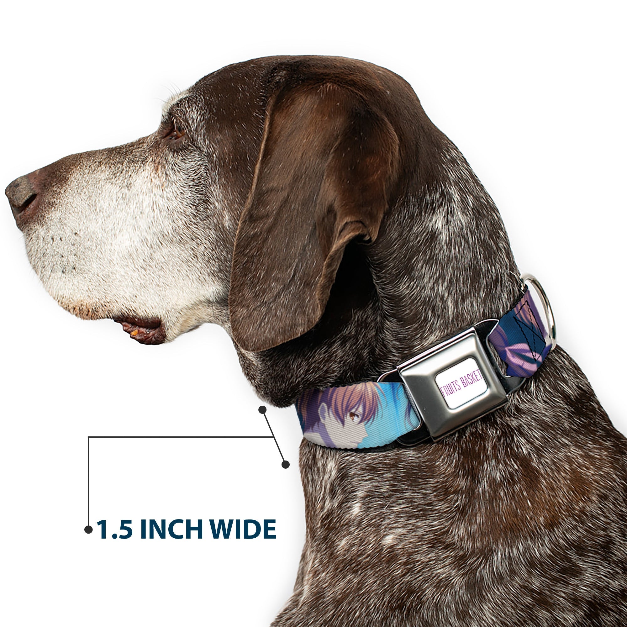 FRUITS BASKET Title Logo Full Color White/Purple Seatbelt Buckle Collar - Fruits Basket Yuki Tohru Kyo Final Season Group Pose Blues