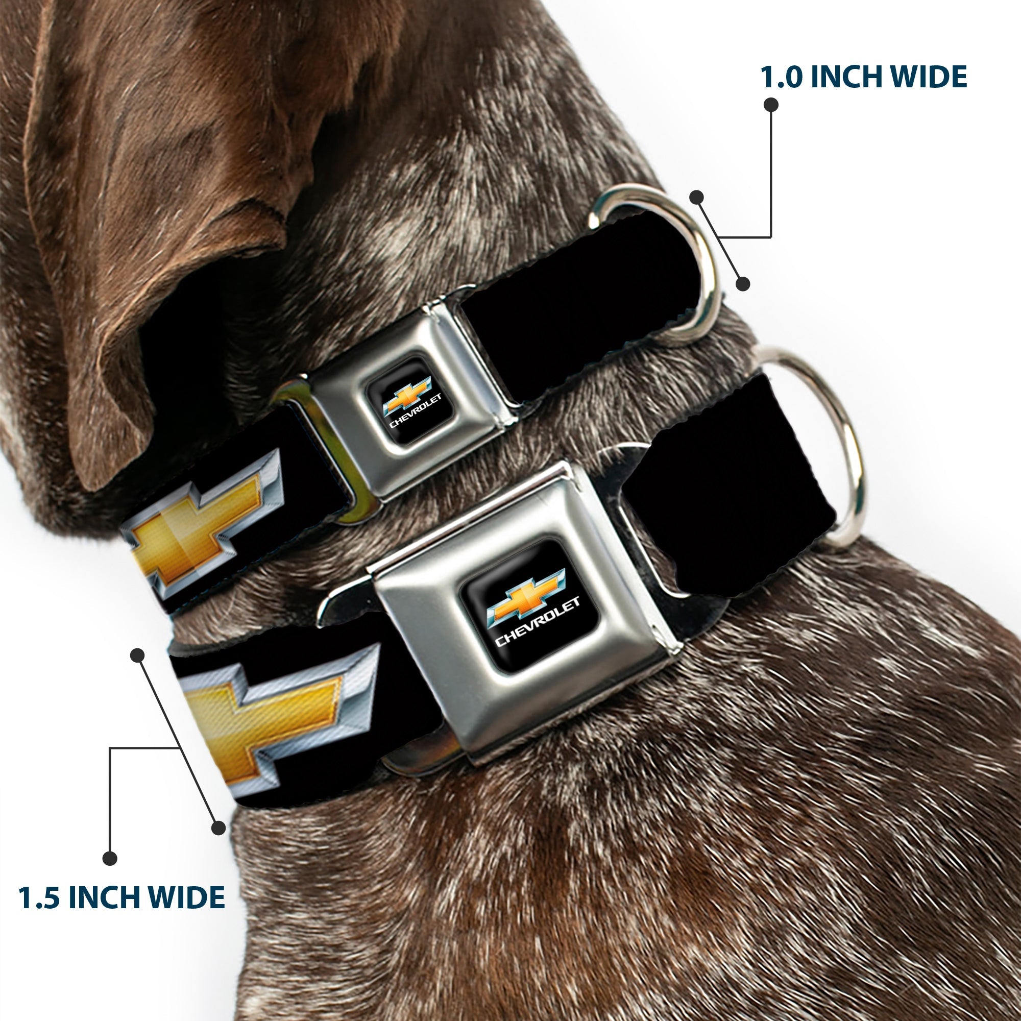 Chevy Bowtie Full Color Black Gold Seatbelt Buckle Collar - Chevy Bowtie Black/Gold Logo REPEAT
