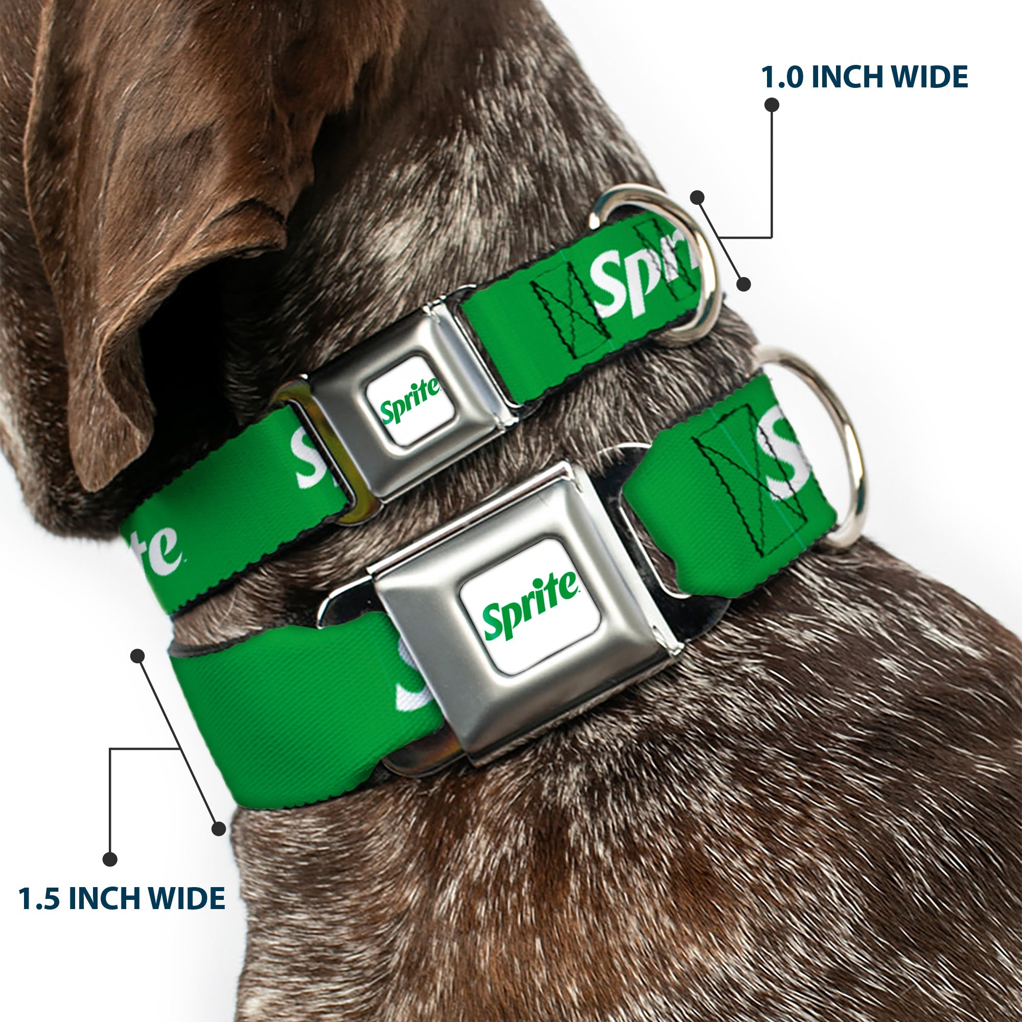 SPRITE Logo Full Color White/Green Seatbelt Buckle Collar - SPRITE Logo Green/White