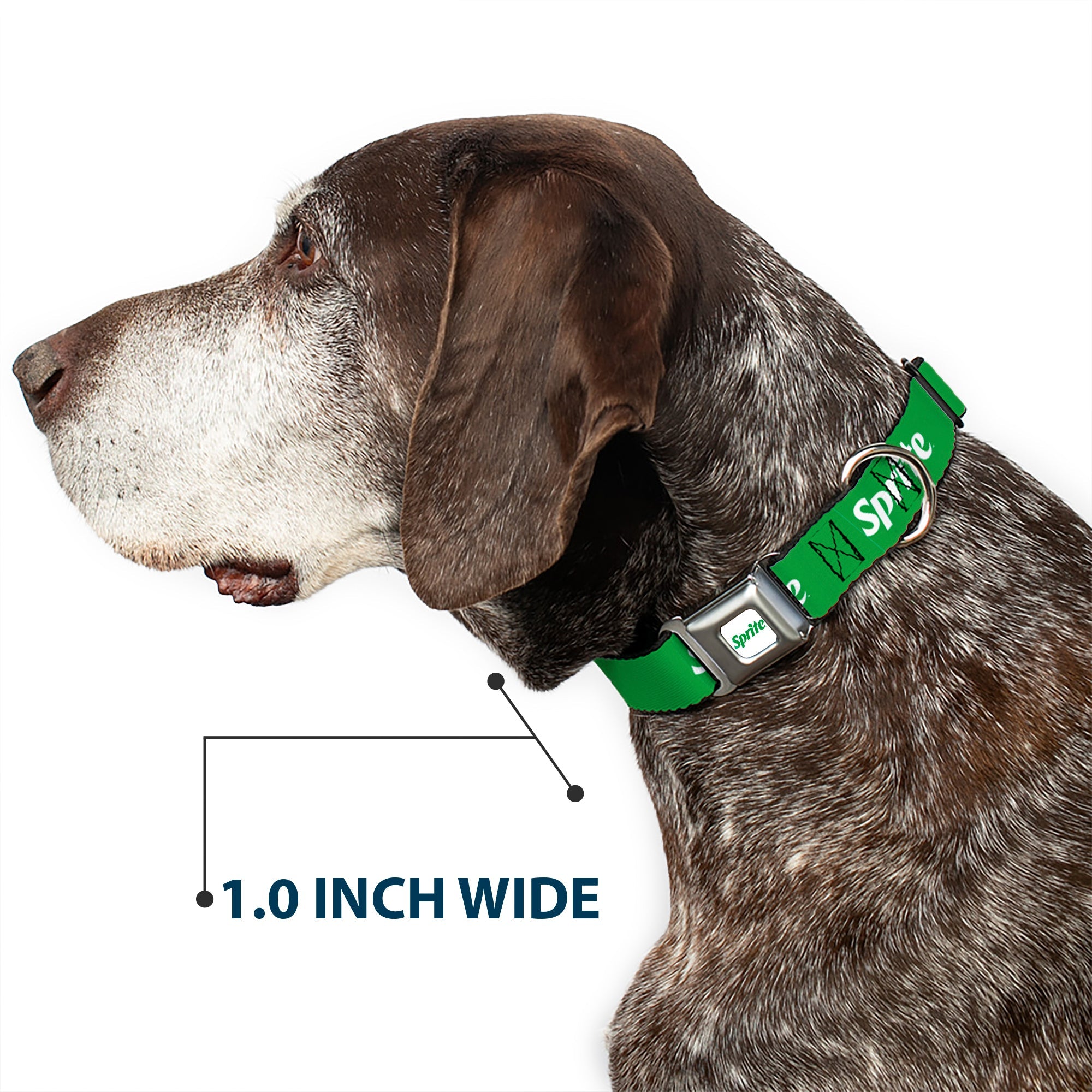 SPRITE Logo Full Color White/Green Seatbelt Buckle Collar - SPRITE Logo Green/White