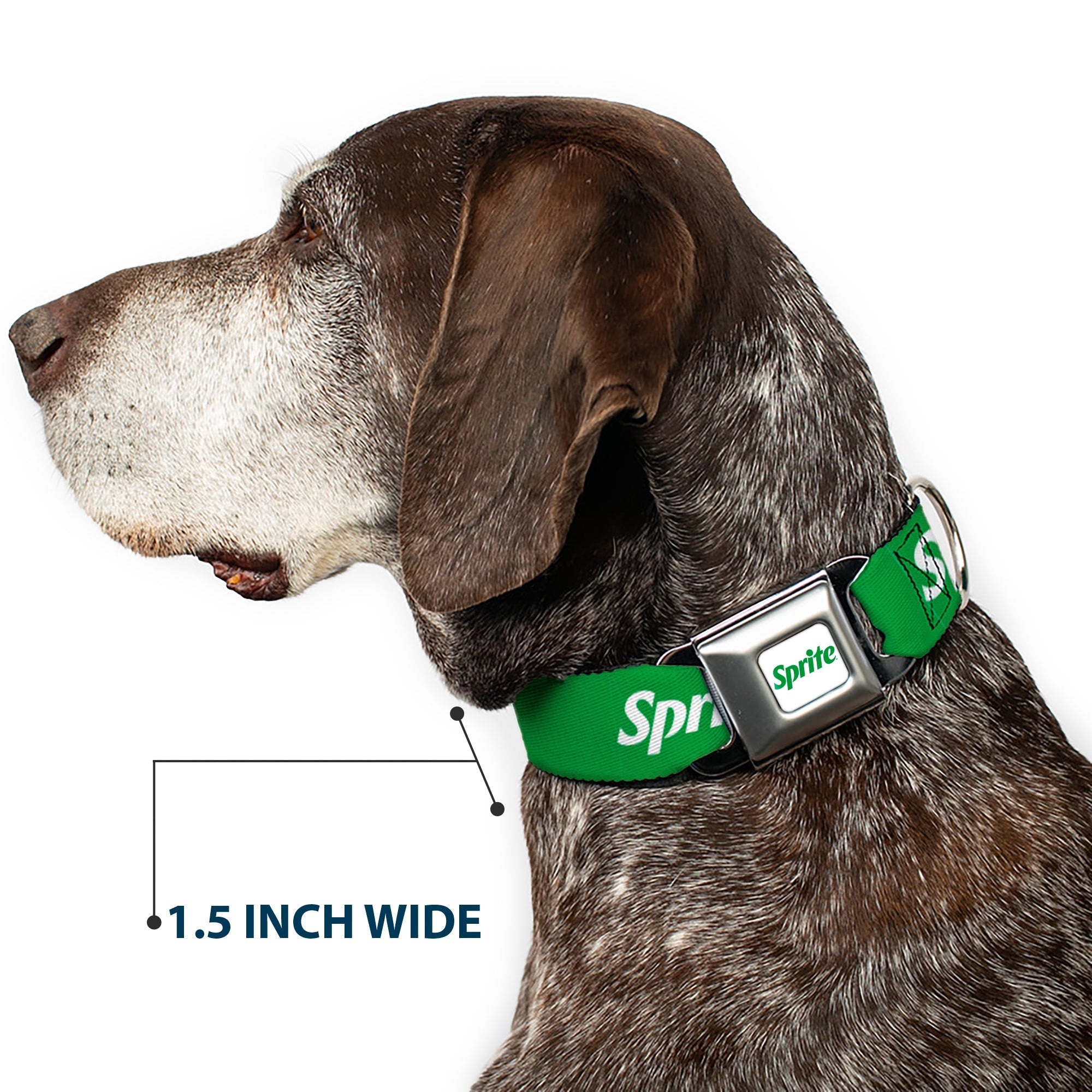 SPRITE Logo Full Color White/Green Seatbelt Buckle Collar - SPRITE Logo Green/White