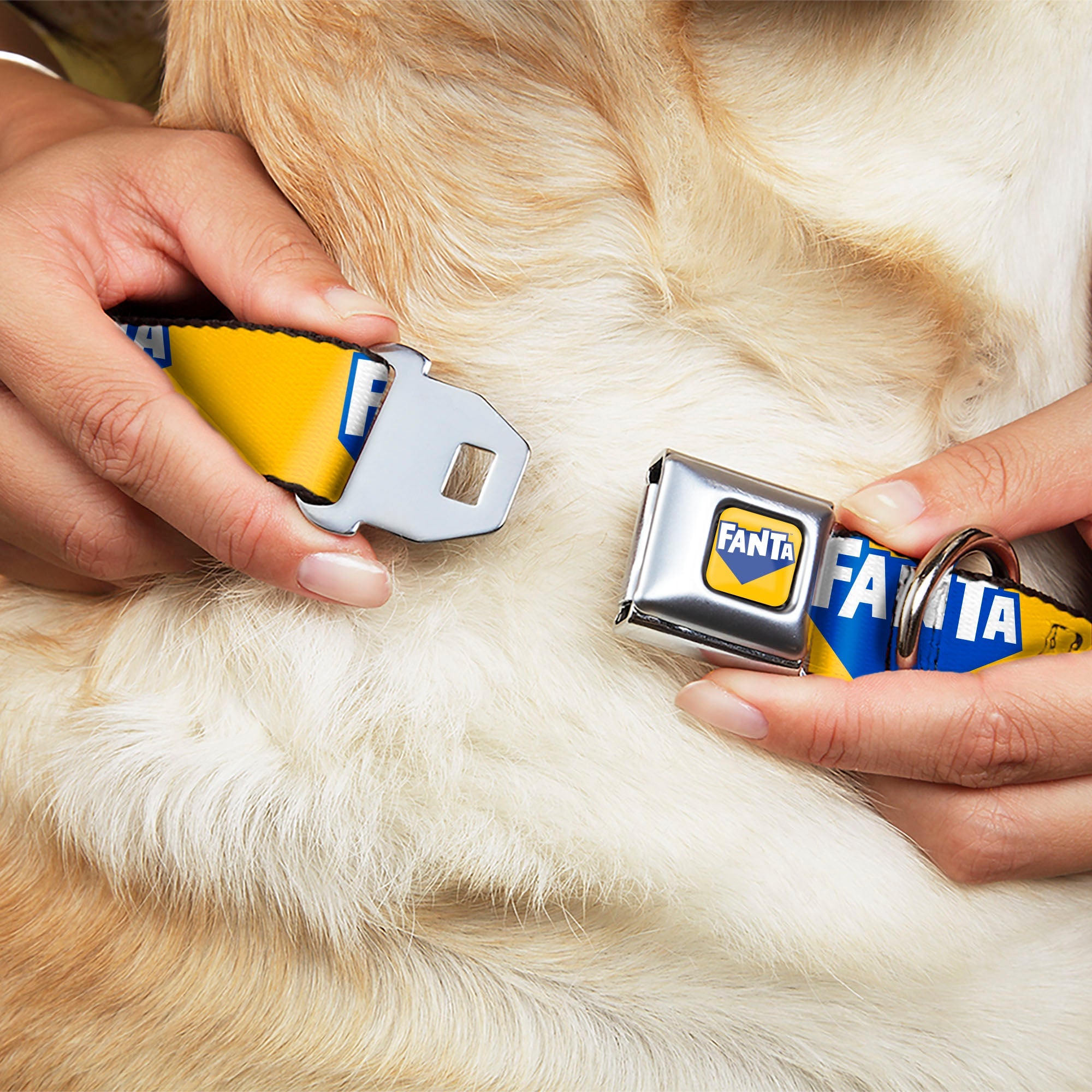 FANTA Logo Full Color Pineapple Yellow/Blue/White Seatbelt Buckle Collar - FANTA Logo Pineapple Yellow/Blue/White