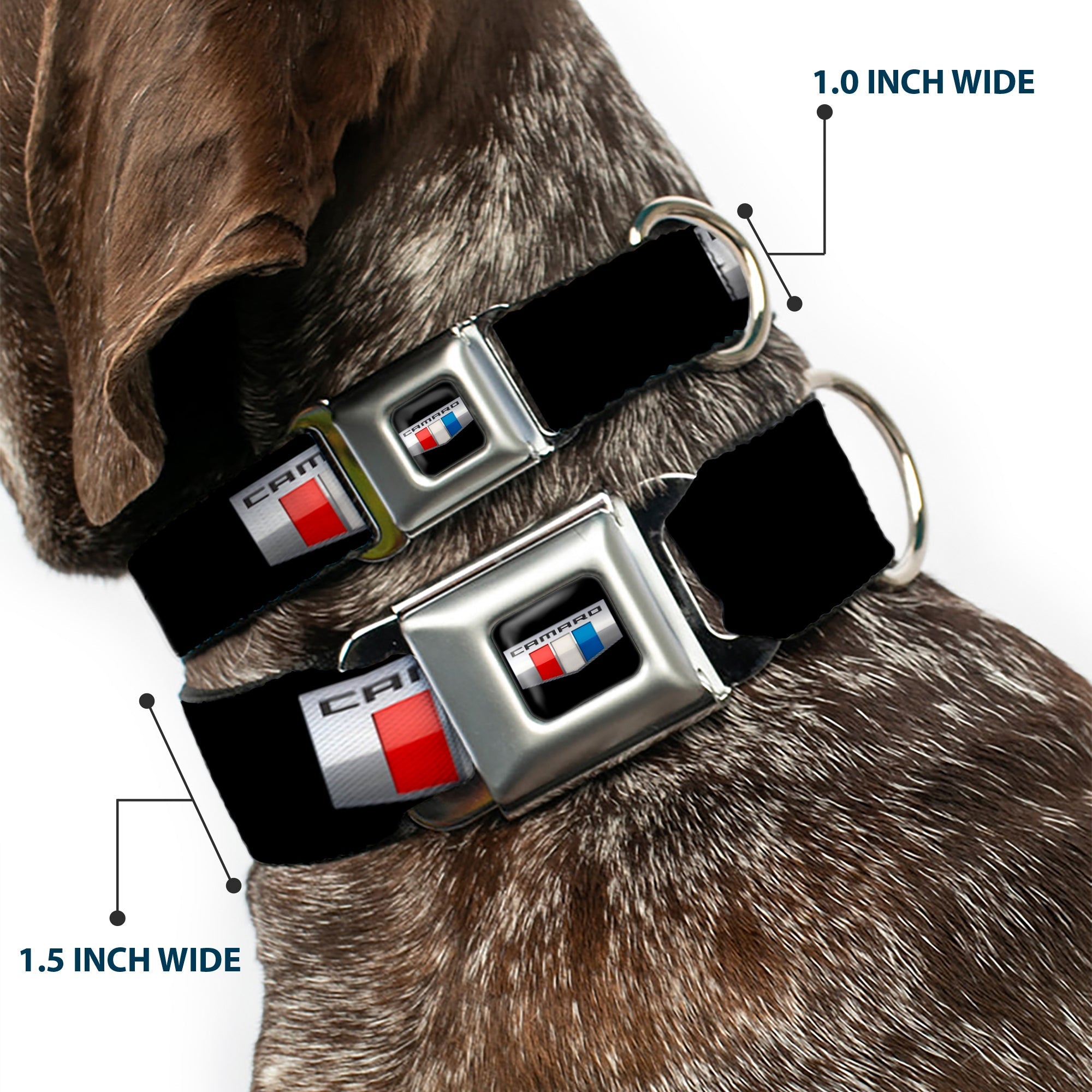 CAMARO Six Badge Full Color Black Silver Red White Blue Seatbelt Buckle Collar - CAMARO Six Badge Black/Silver/Red/White/Blue