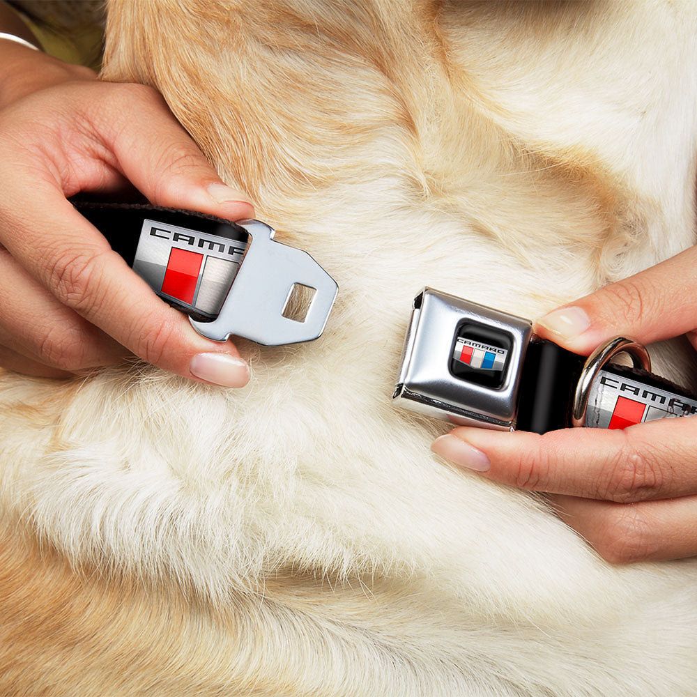 CAMARO Six Badge Full Color Black Silver Red White Blue Seatbelt Buckle Collar - CAMARO Six Badge Black/Silver/Red/White/Blue