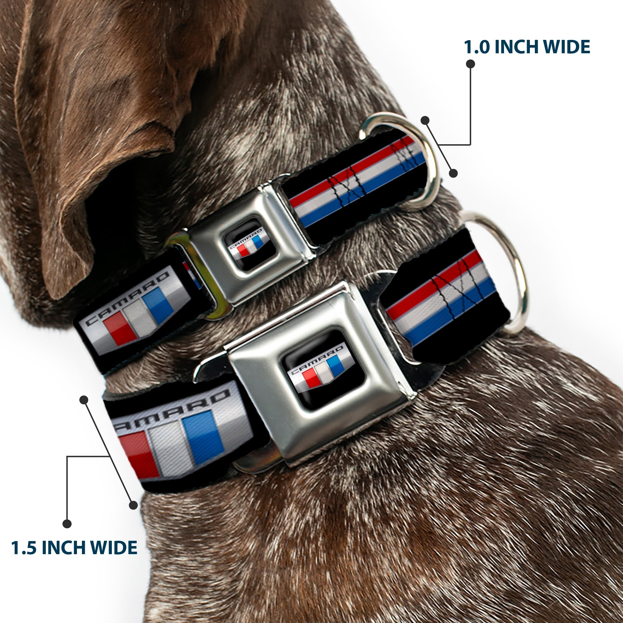 CAMARO Six Badge Full Color Black Silver Red White Blue Seatbelt Buckle Collar - CAMARO Six Badge/Stripe Black/Silver/Red/White/Blue