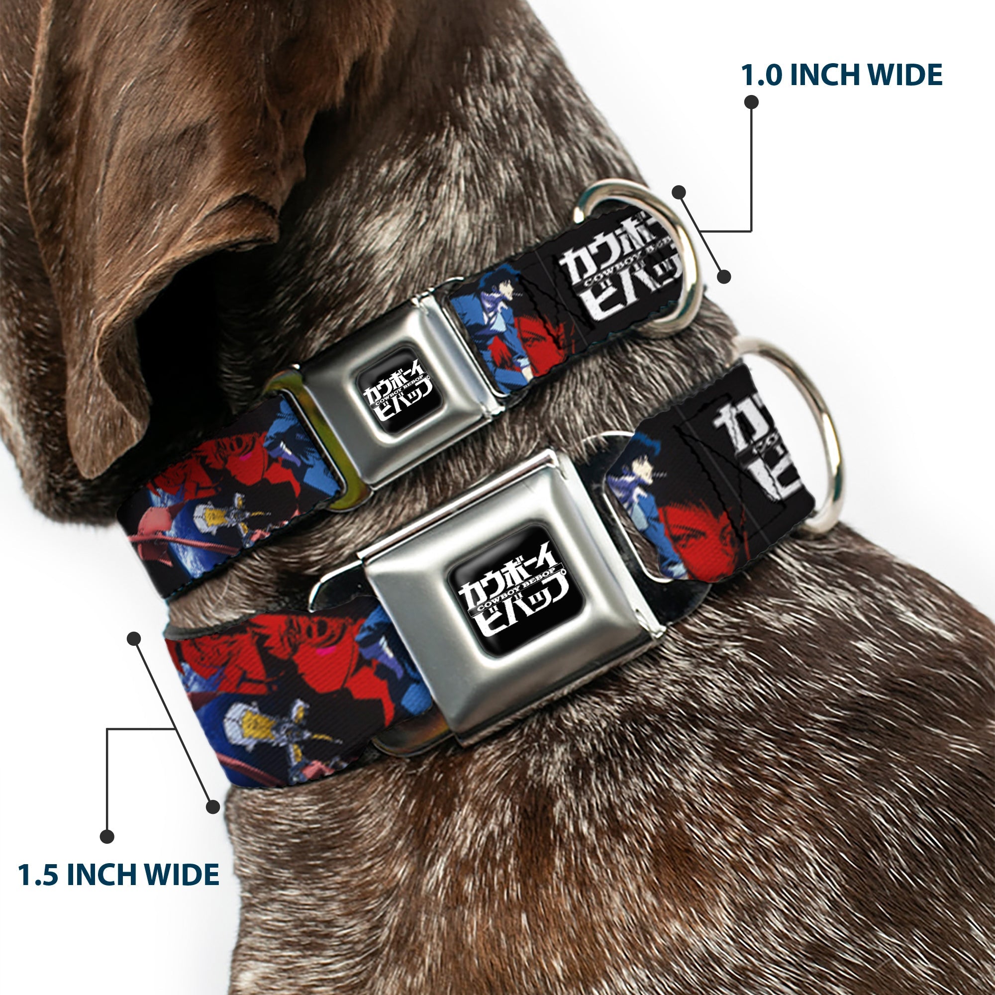 COWBOY BEBOP Title Logo Full Color Black/White Seatbelt Buckle Collar - COWBOY BEBOP Spike Pose and Crew Collage and Title Logo Black
