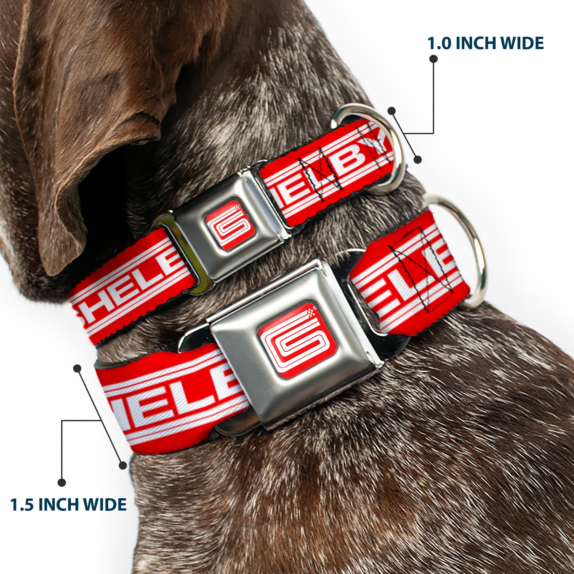 Carroll Shelby CS Racing Logo Full Color Red/White Seatbelt Buckle Collar - Carroll Shelby CS SHELBY Racing Logo Block Red/White