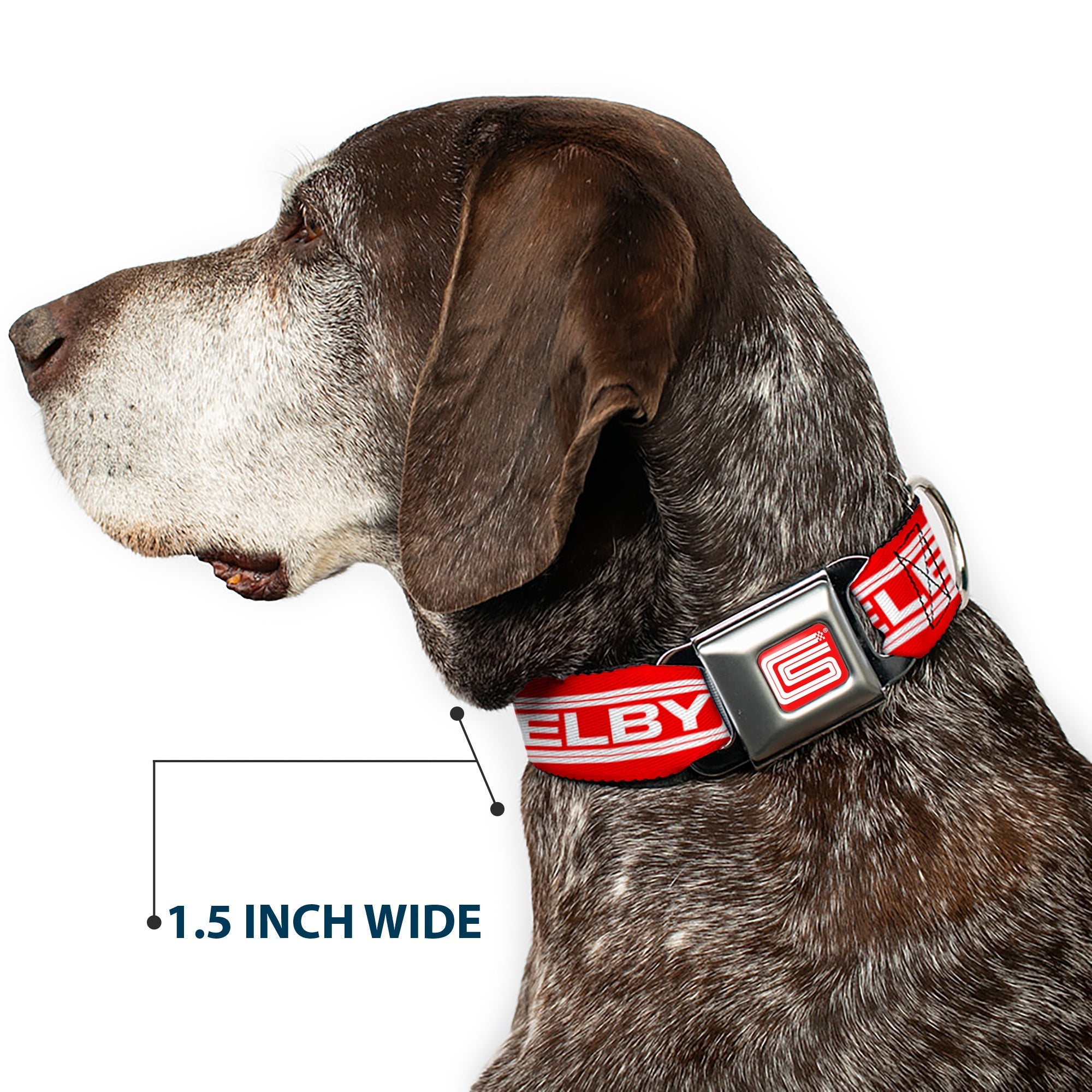 Carroll Shelby CS Racing Logo Full Color Red/White Seatbelt Buckle Collar - Carroll Shelby CS SHELBY Racing Logo Block Red/White