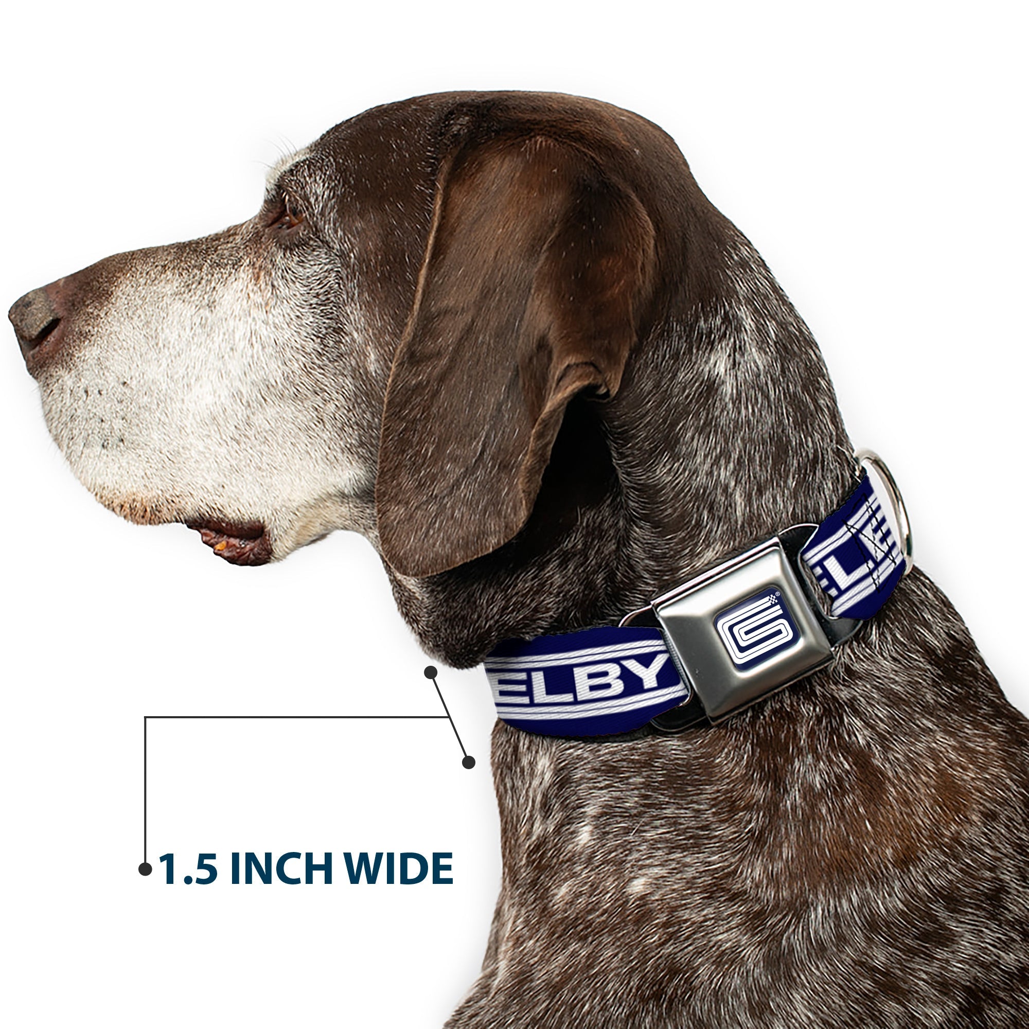 Carroll Shelby CS Racing Logo Full Color Navy/White Seatbelt Buckle Collar - Carroll Shelby CS SHELBY Racing Logo Block Navy/White