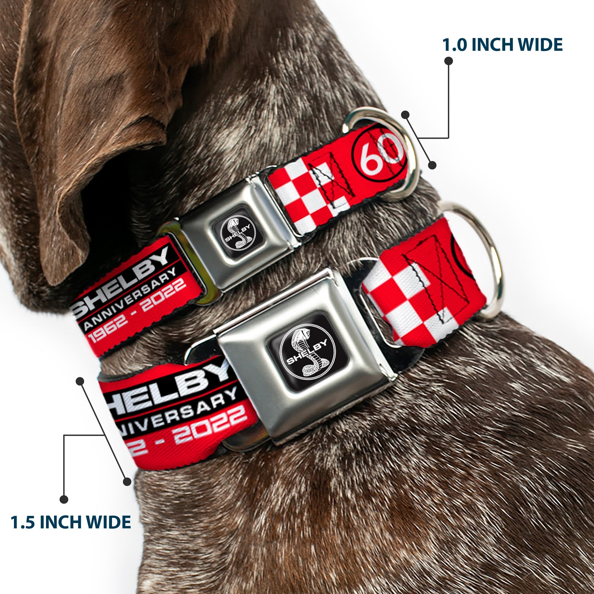 SHELBY Tiffany Split Full Color Black/White Seatbelt Buckle Collar - SHELBY 60th ANNIVERSARY Checker Red/Black/White