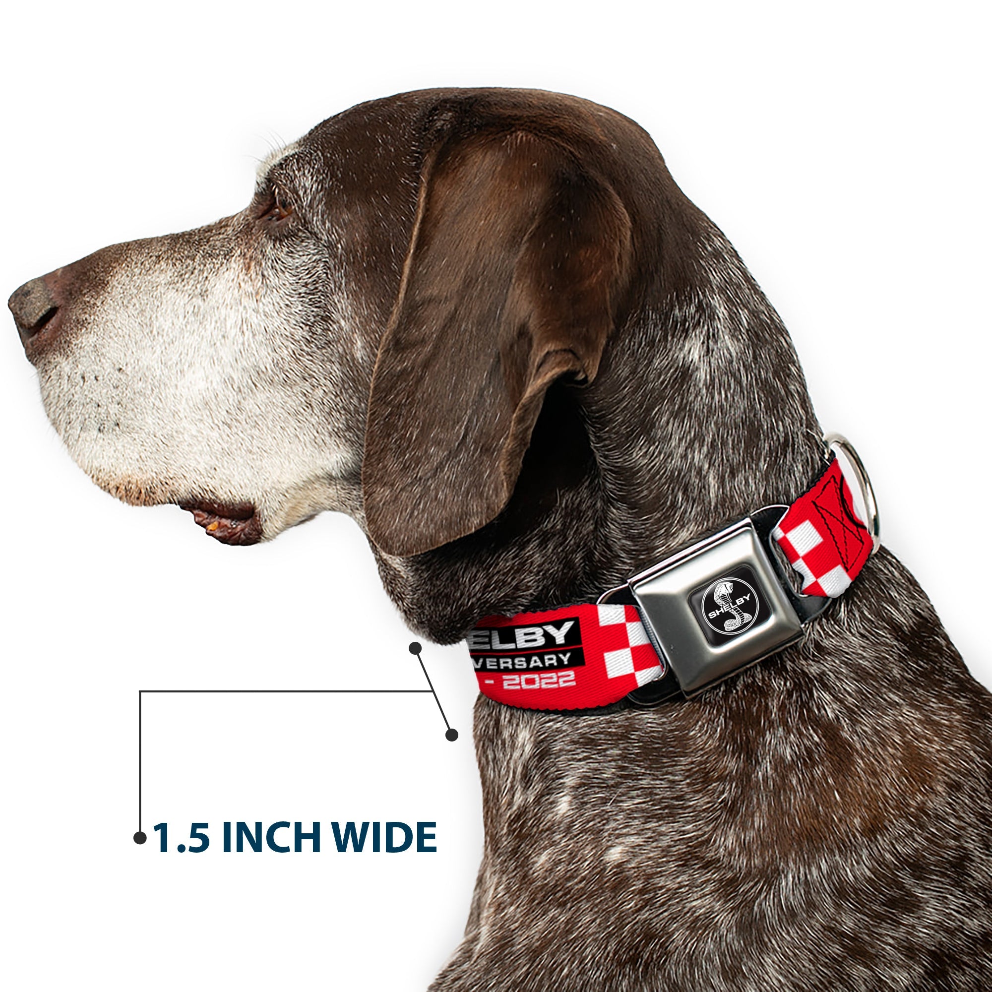 SHELBY Tiffany Split Full Color Black/White Seatbelt Buckle Collar - SHELBY 60th ANNIVERSARY Checker Red/Black/White