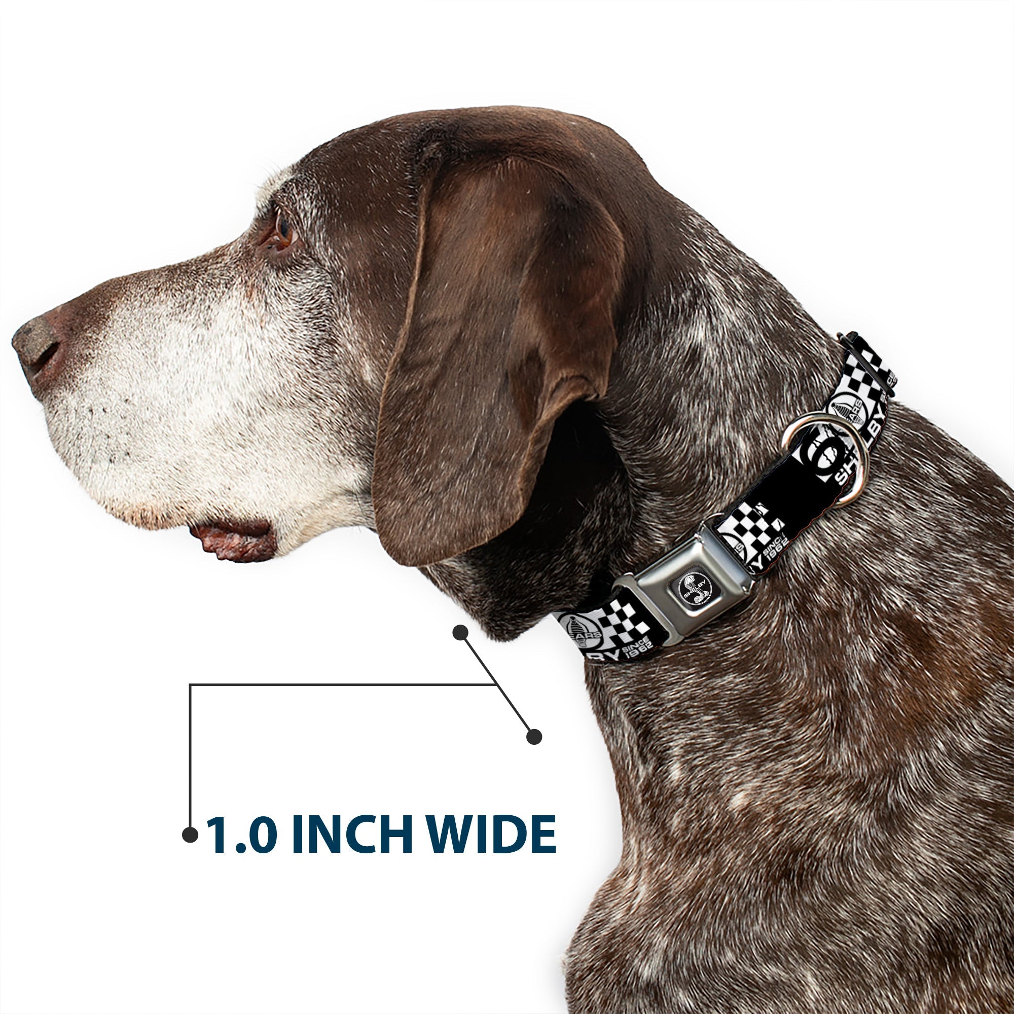 SHELBY Tiffany Split Full Color Black/White Seatbelt Buckle Collar - SHELBY 60 YEARS SINCE 1962 Checker Black/White