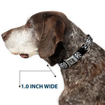 SHELBY Tiffany Split Full Color Black/White Seatbelt Buckle Collar - SHELBY 60 YEARS SINCE 1962 Checker Black/White