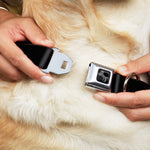 Dog Bone Seatbelt Buckle Collar - Black