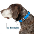 Load image into Gallery viewer, Dog Bone Seatbelt Buckle Collar - Baby Blue
