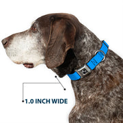 Dog Bone Seatbelt Buckle Collar - Baby Blue