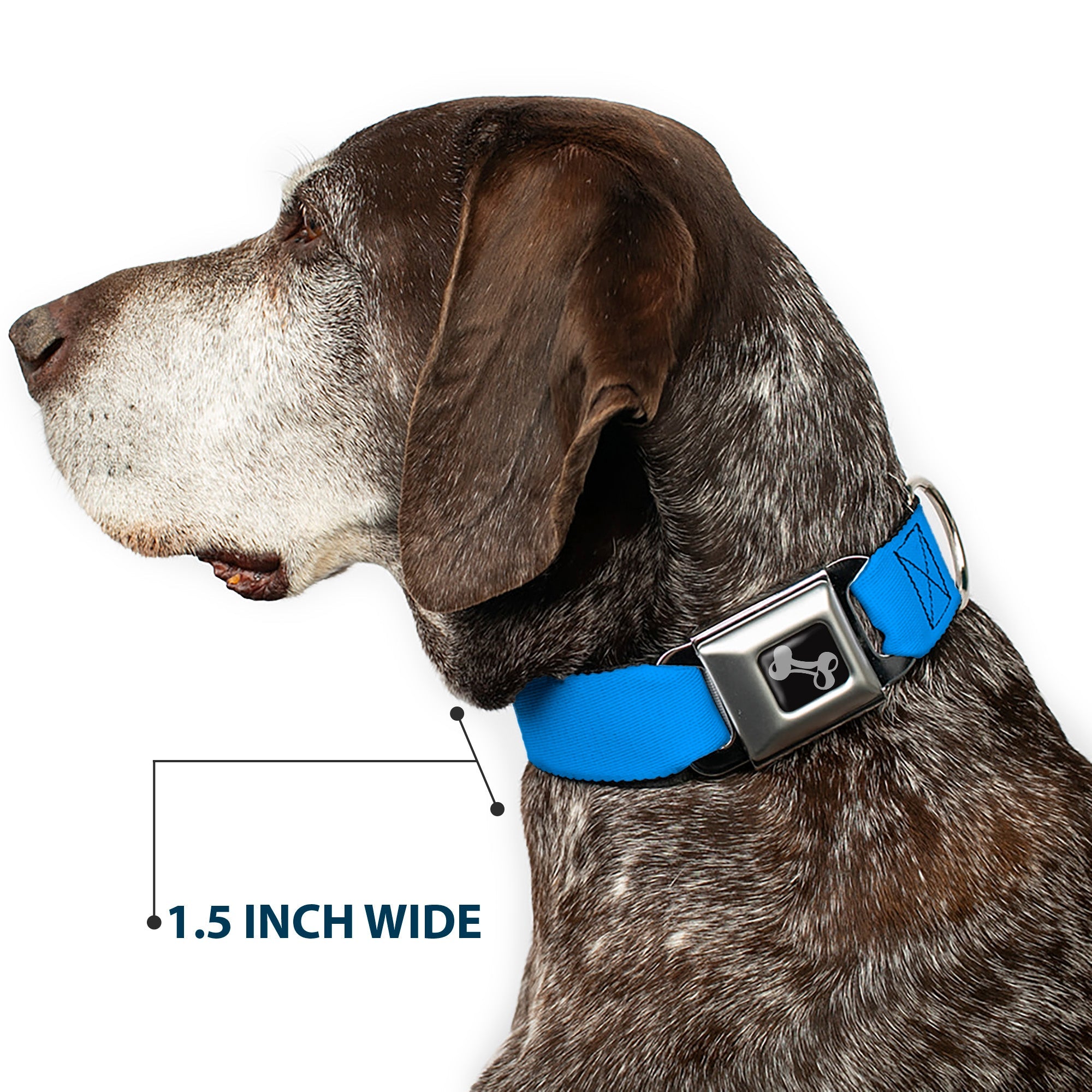 Dog Bone Seatbelt Buckle Collar - Baby Blue