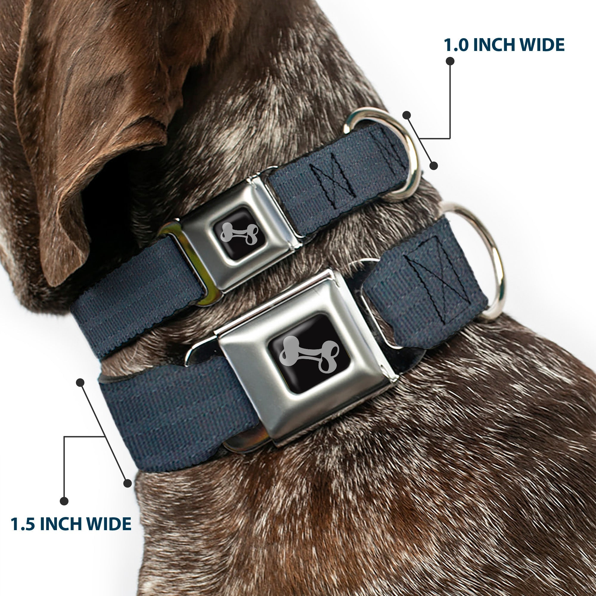 Dog Bone Black/Silver Seatbelt Buckle Collar - Black Panel