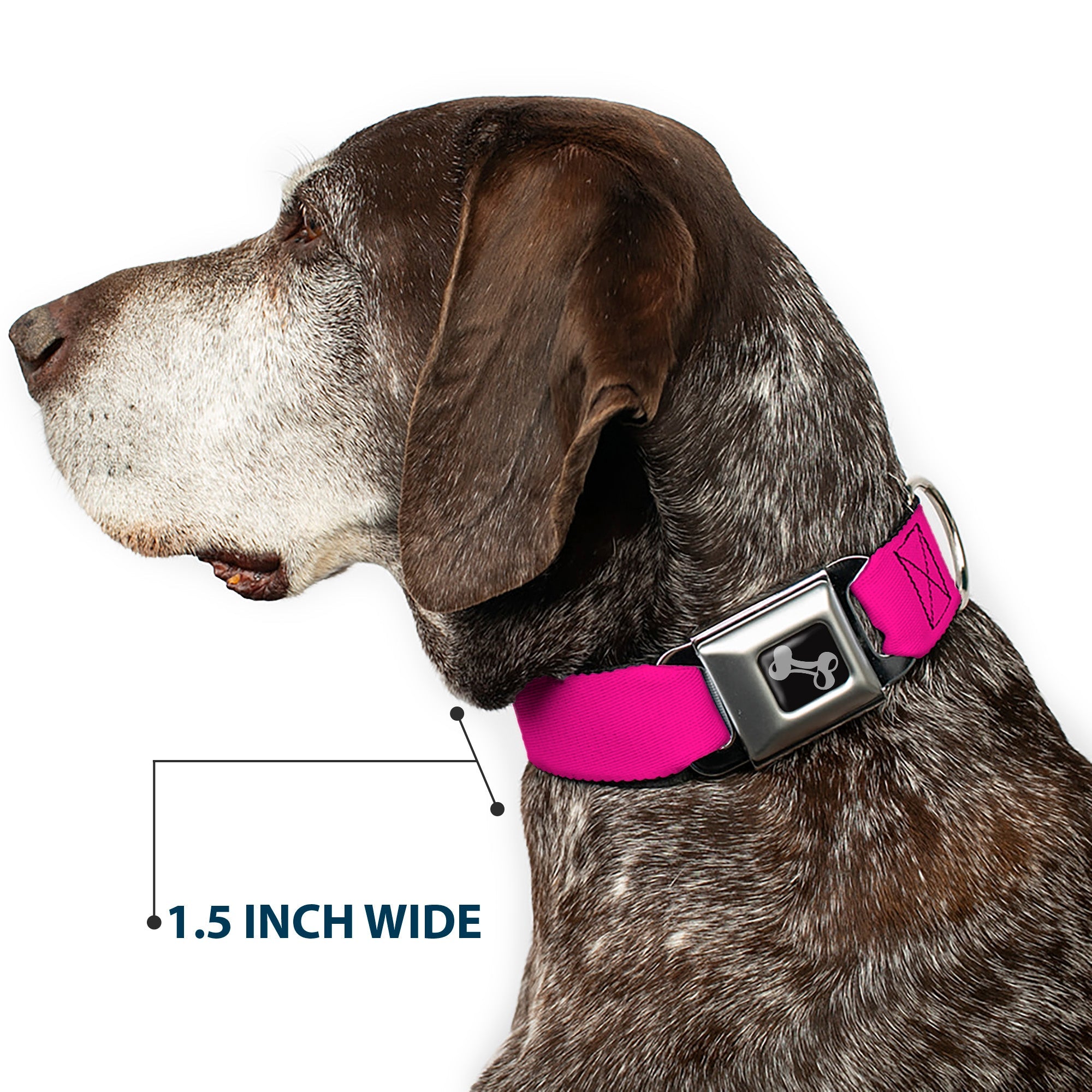 Dog Bone Seatbelt Buckle Collar - Fuchsia