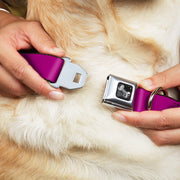 Dog Bone Seatbelt Buckle Collar - Fuchsia