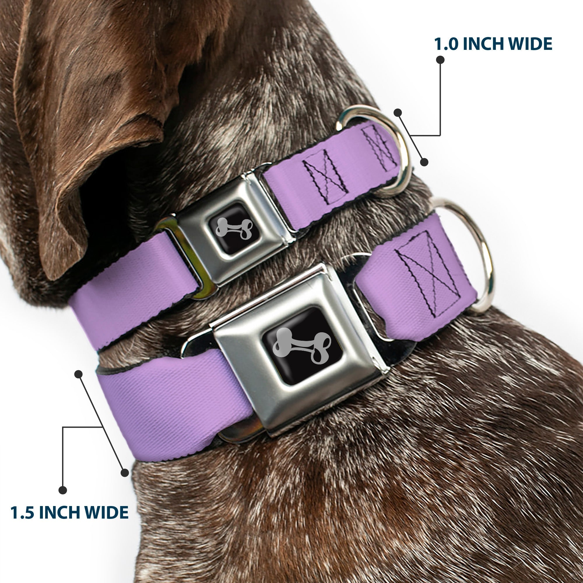 Dog Bone Seatbelt Buckle Collar - Lavender
