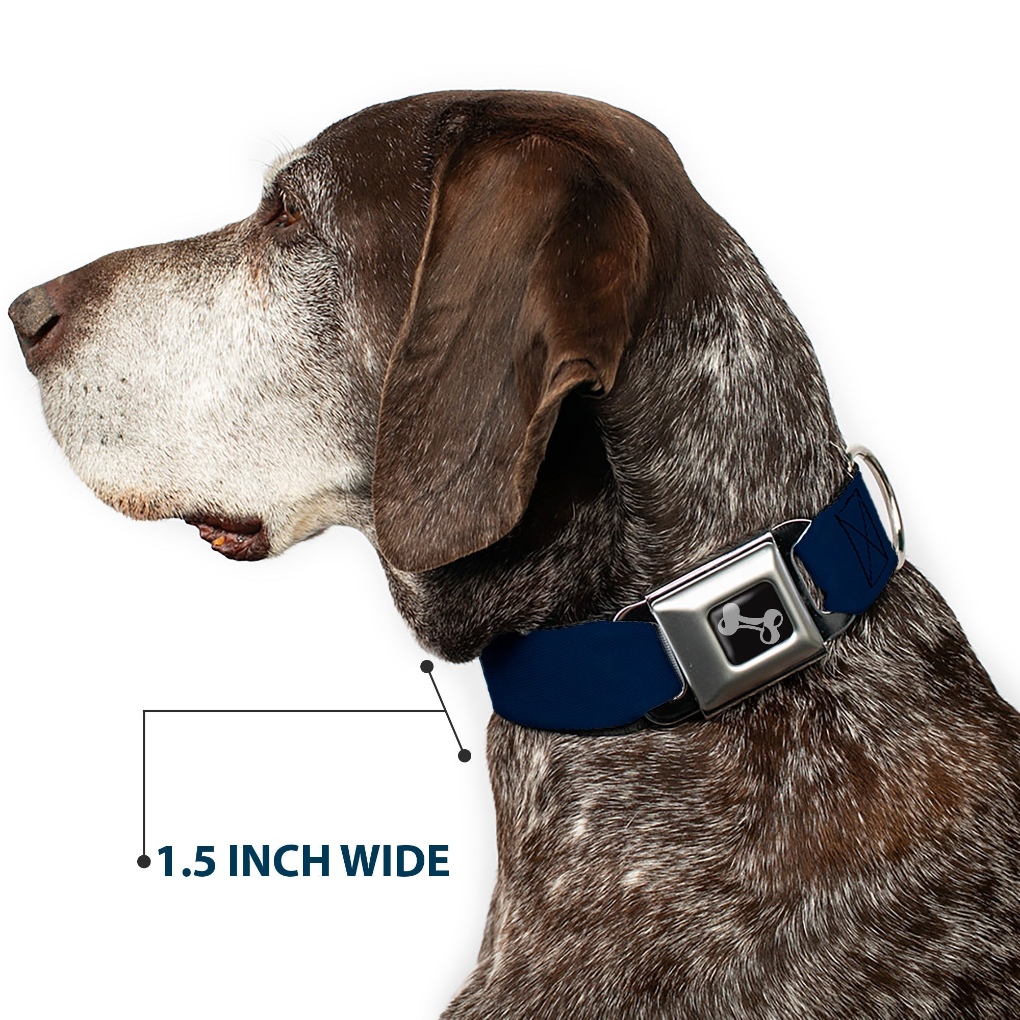 Dog Bone Seatbelt Buckle Collar - Navy