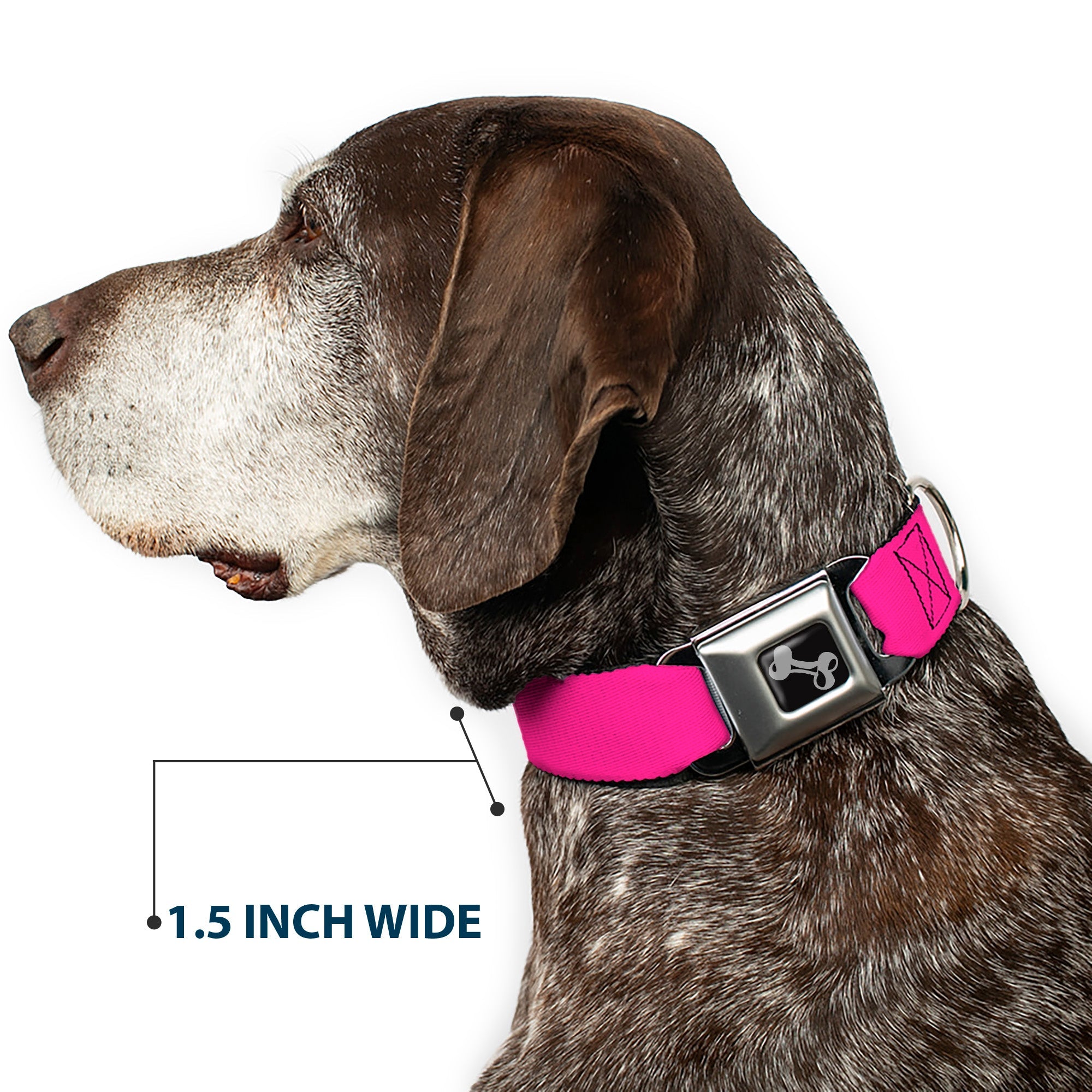 Dog Bone Seatbelt Buckle Collar - Neon Pink