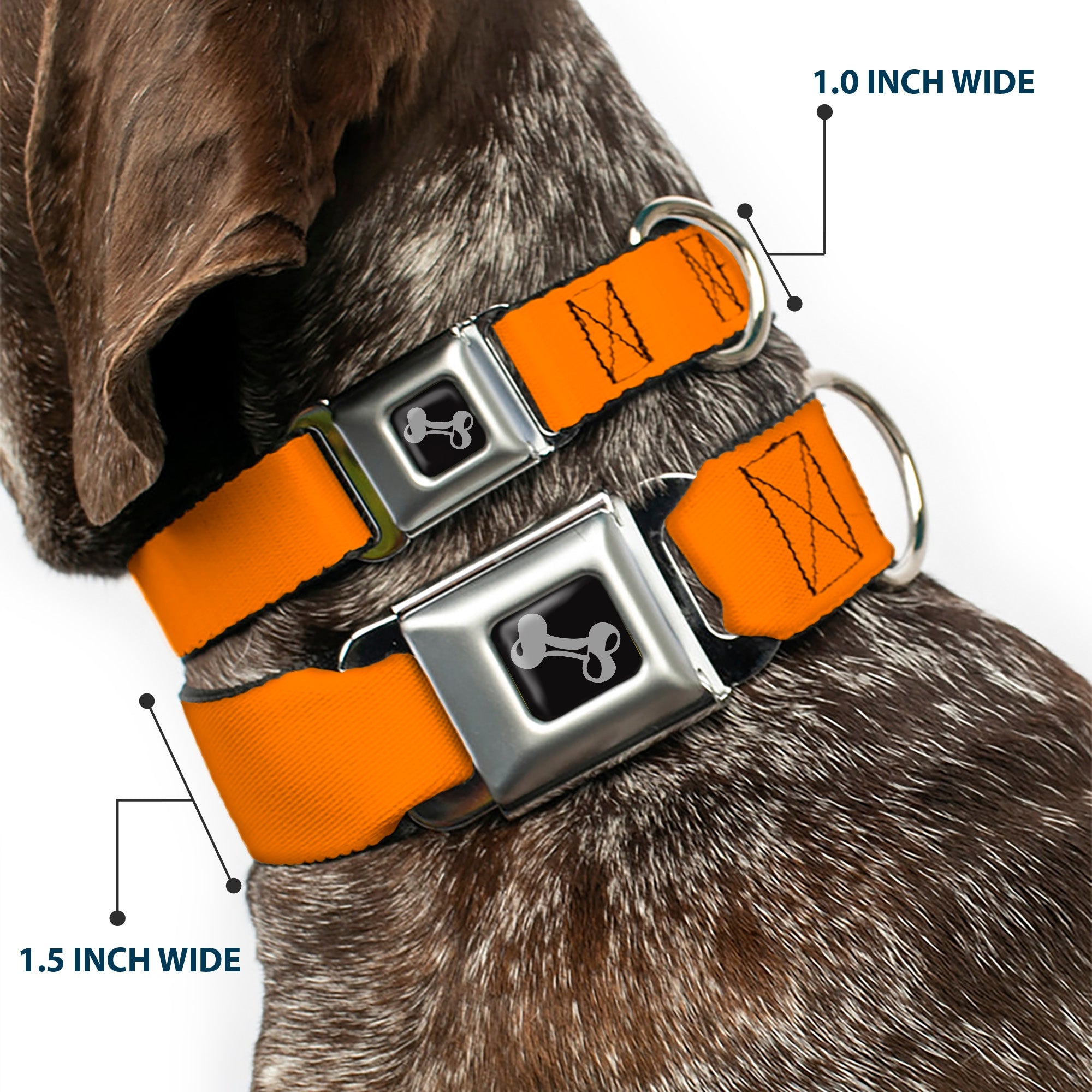Dog Bone Seatbelt Buckle Collar - Orange