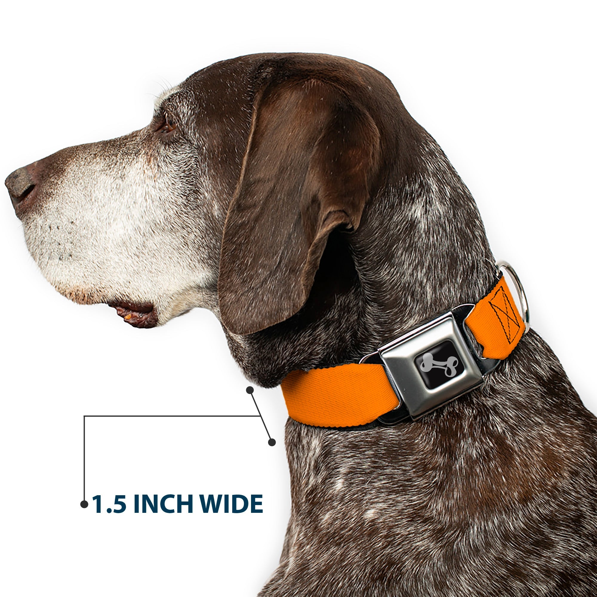 Dog Bone Seatbelt Buckle Collar - Orange