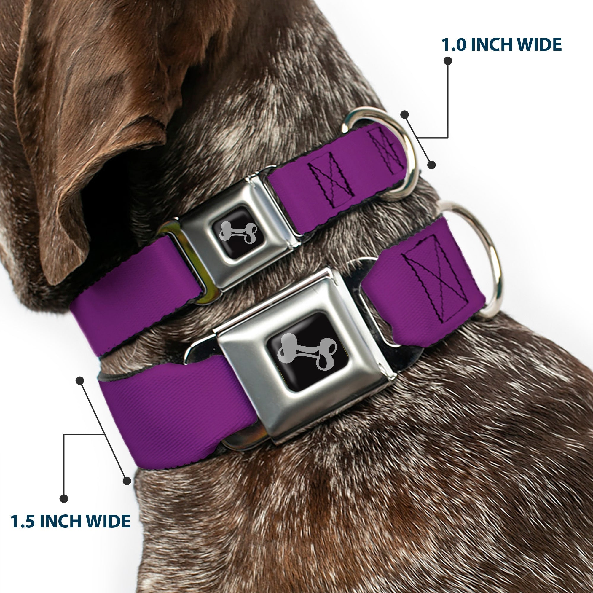 Dog Bone Seatbelt Buckle Collar - Purple
