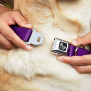 Dog Bone Seatbelt Buckle Collar - Purple