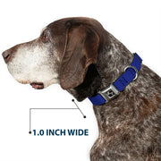 Dog Bone Seatbelt Buckle Collar - Royal